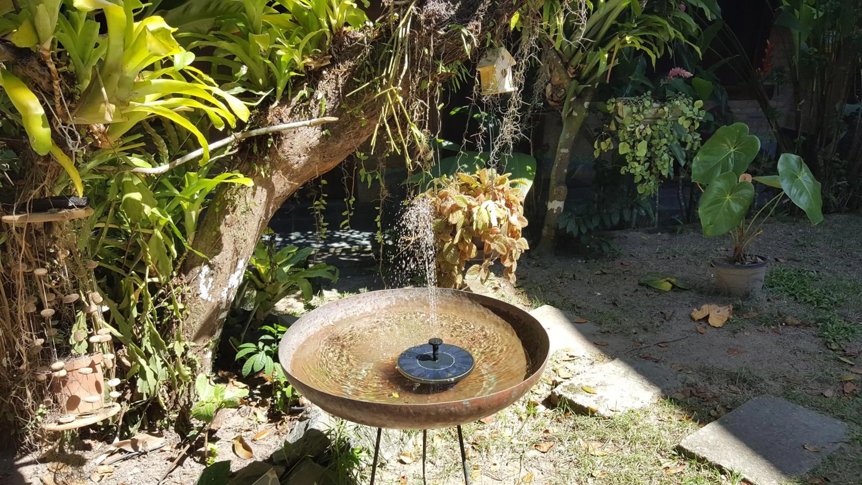 Garden view in Pousada Bucaneiros