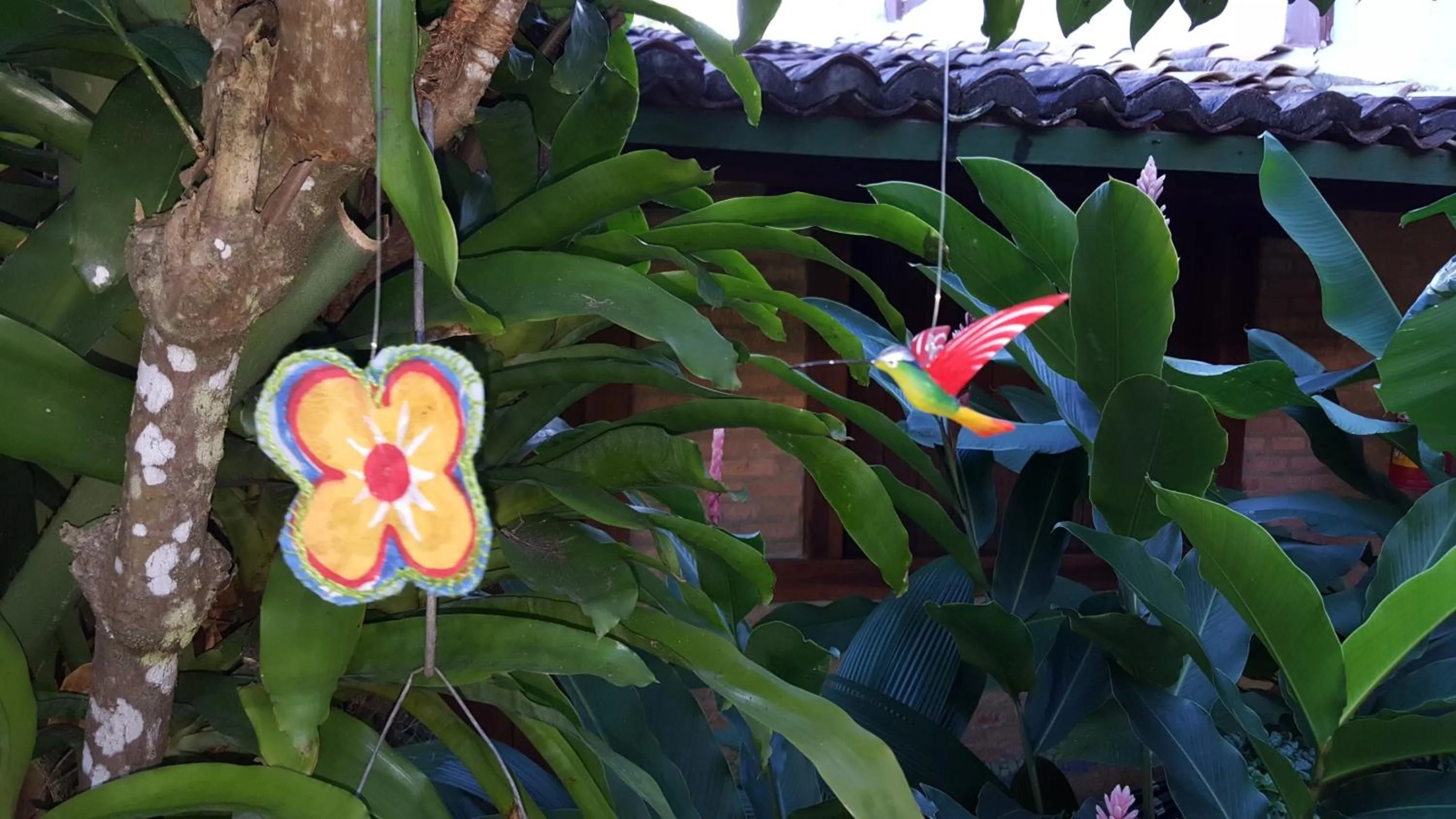 Garden in Pousada Bucaneiros