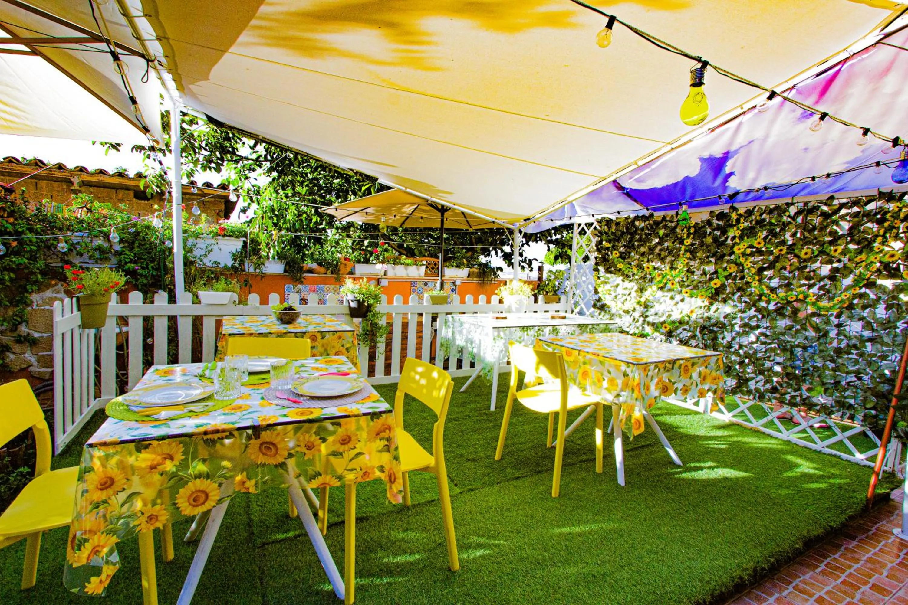 Restaurant/places to eat in Eden Lilli B&B