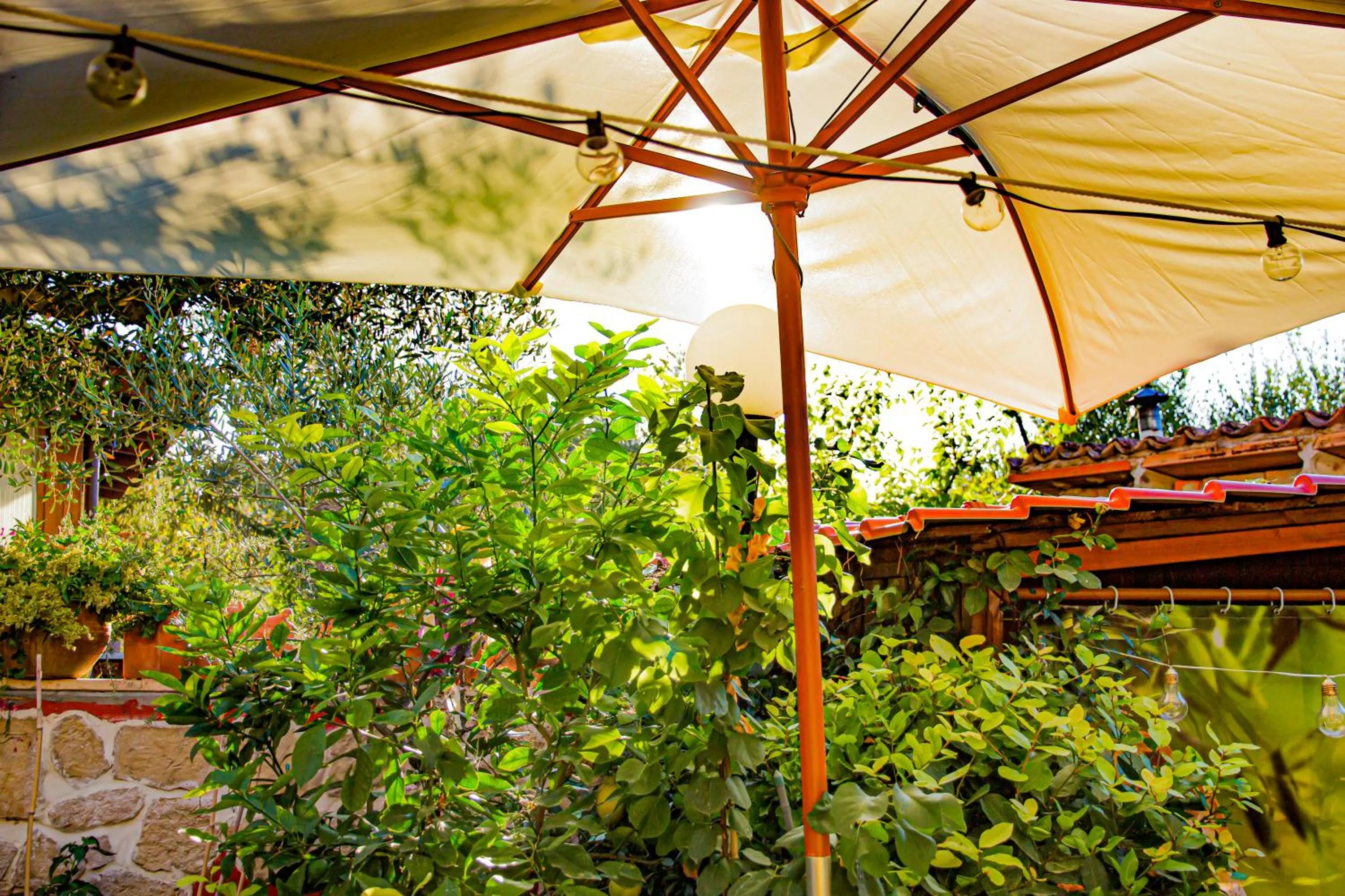 Day in Eden Lilli B&B