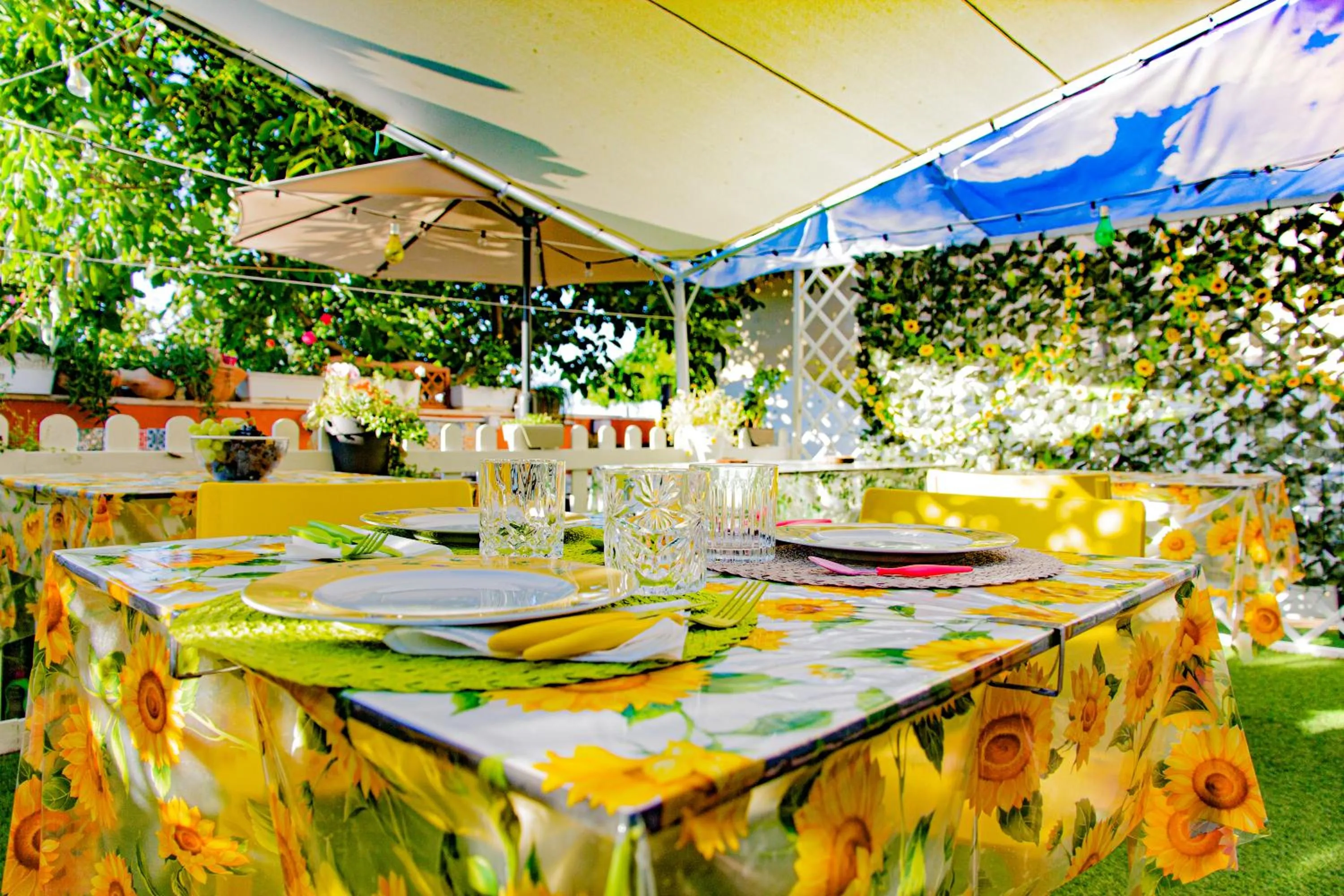 Day in Eden Lilli B&B