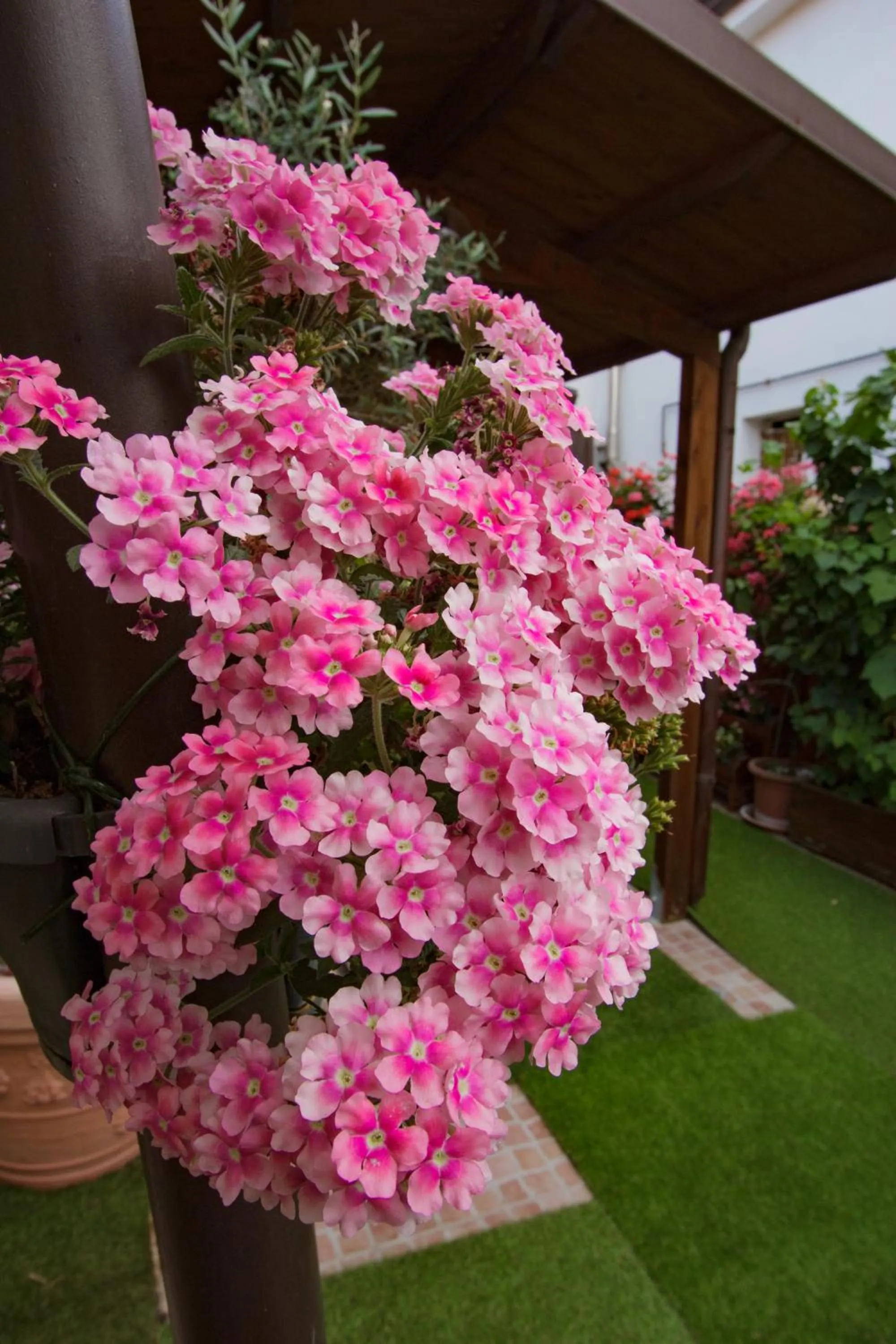 Garden in Eden Lilli B&B