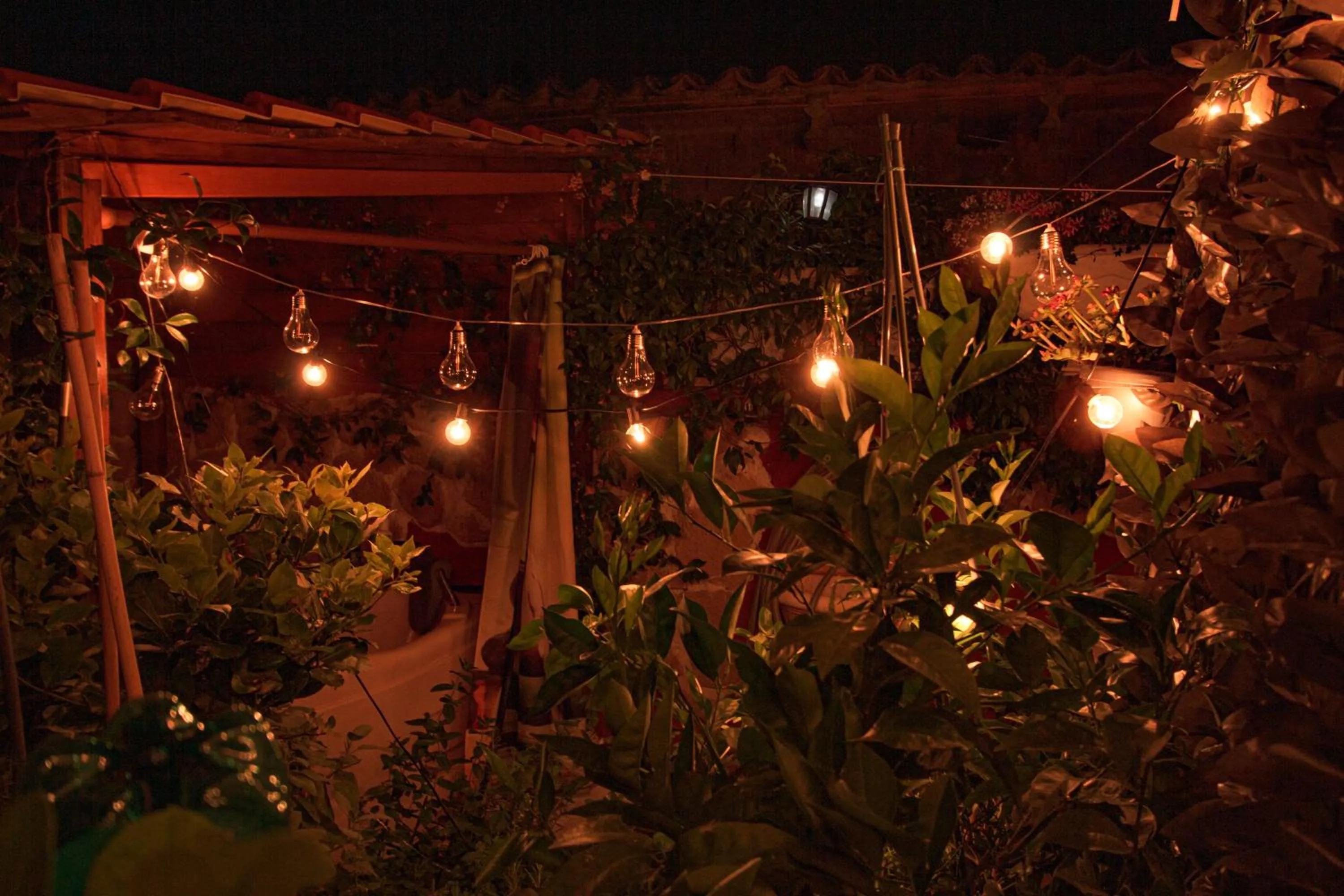 Night in Eden Lilli B&B