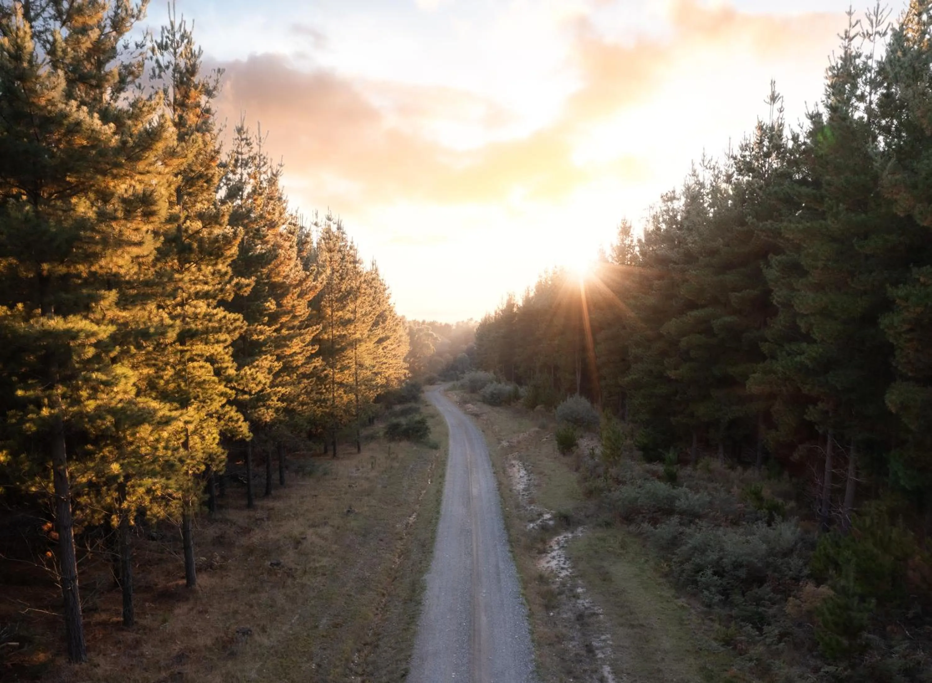 The Sebel Creswick Forest Resort