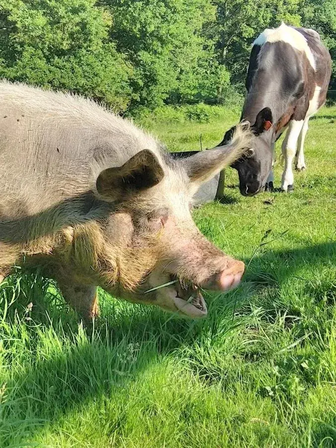 Property building in Domaine de Lesvaniel Property building in Domaine de Lesvaniel