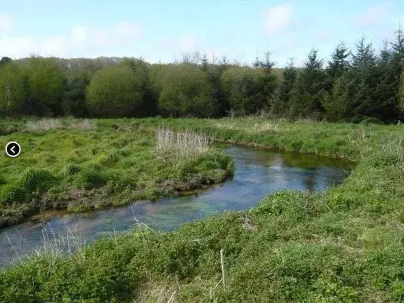 Natural landscape in Domaine de Lesvaniel Natural landscape in Domaine de Lesvaniel