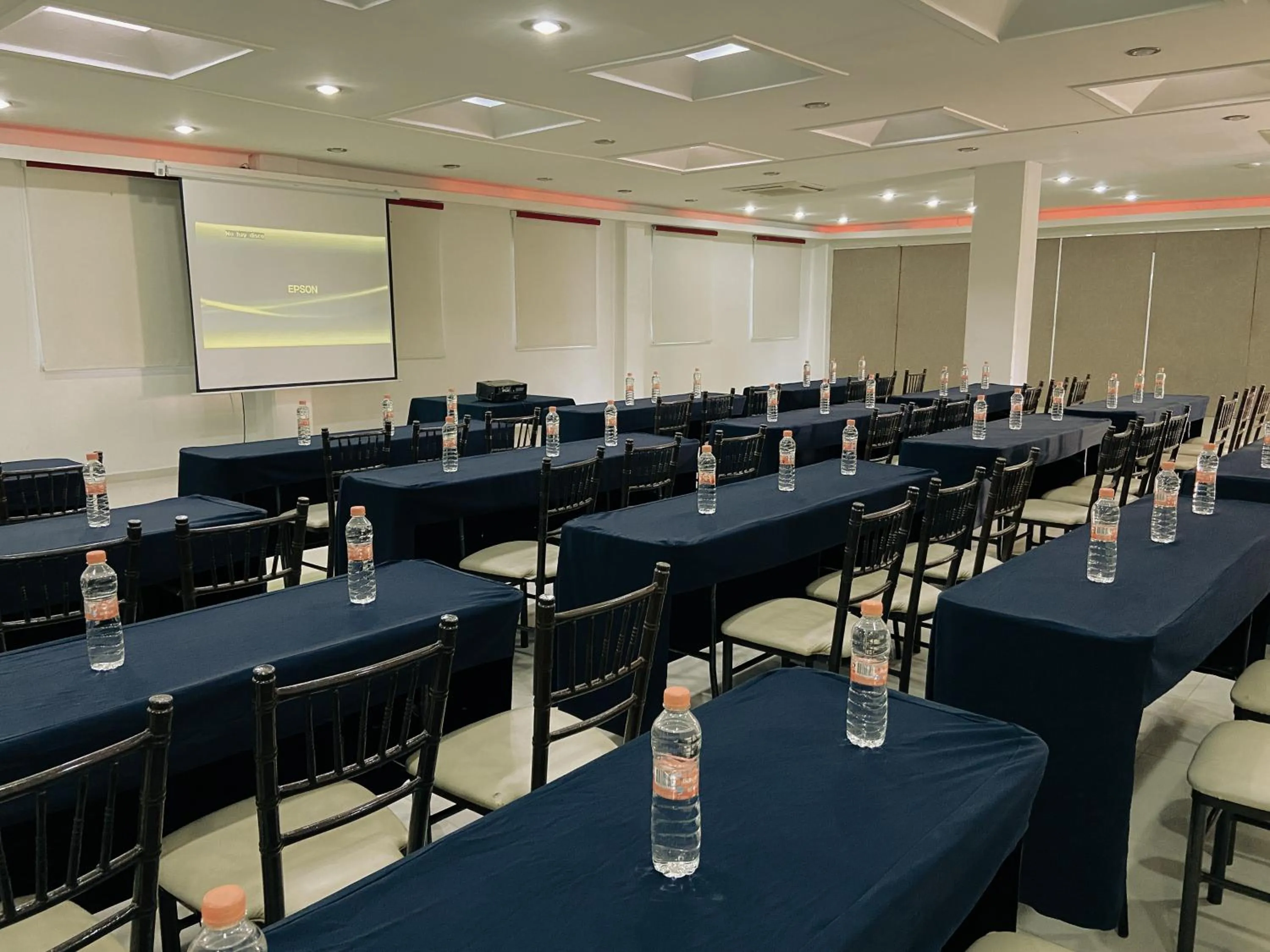 Meeting/conference room in Hotel Baez Paraiso