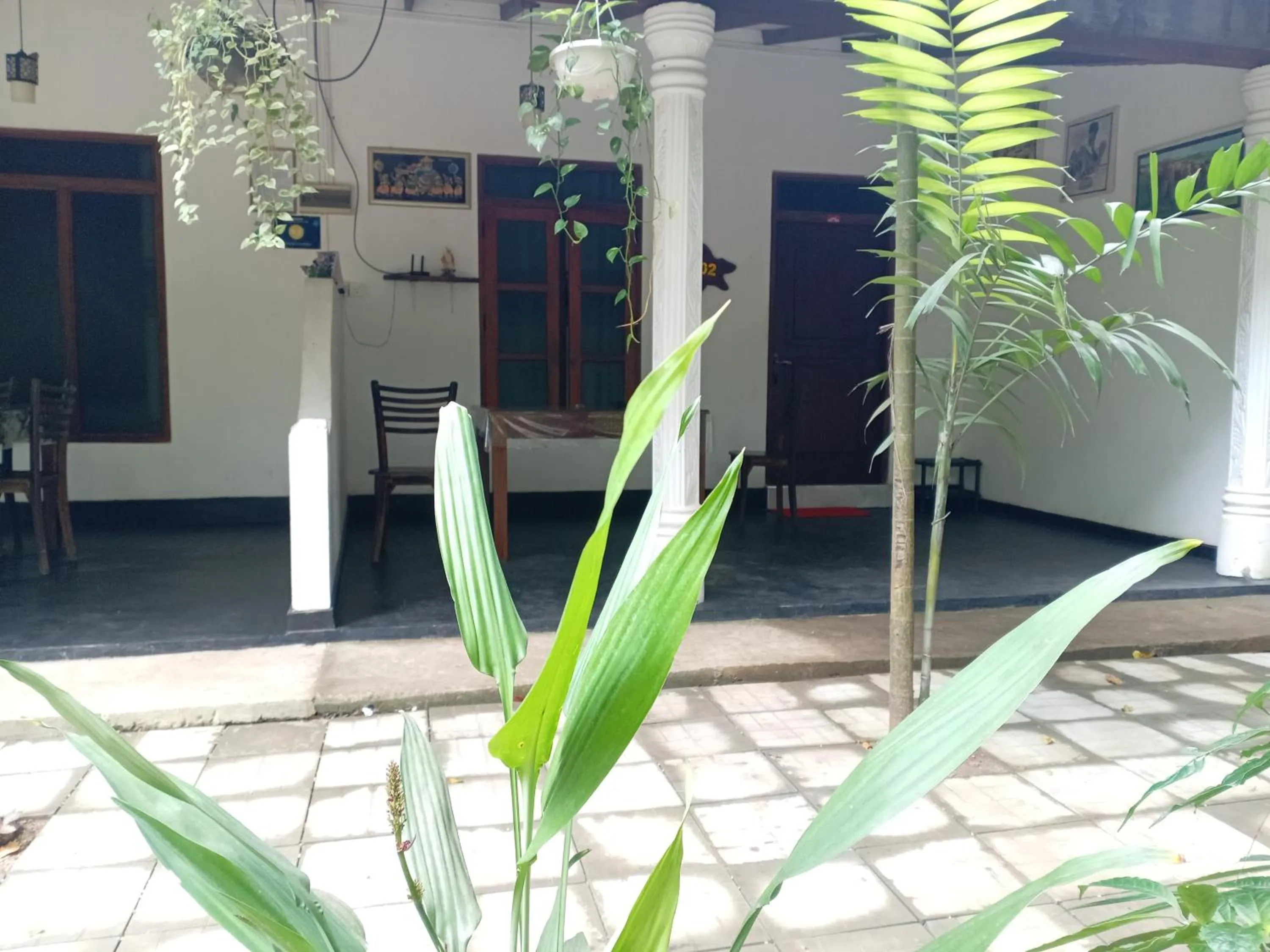 Property building in Sigiri Mango Garden Eco Resort