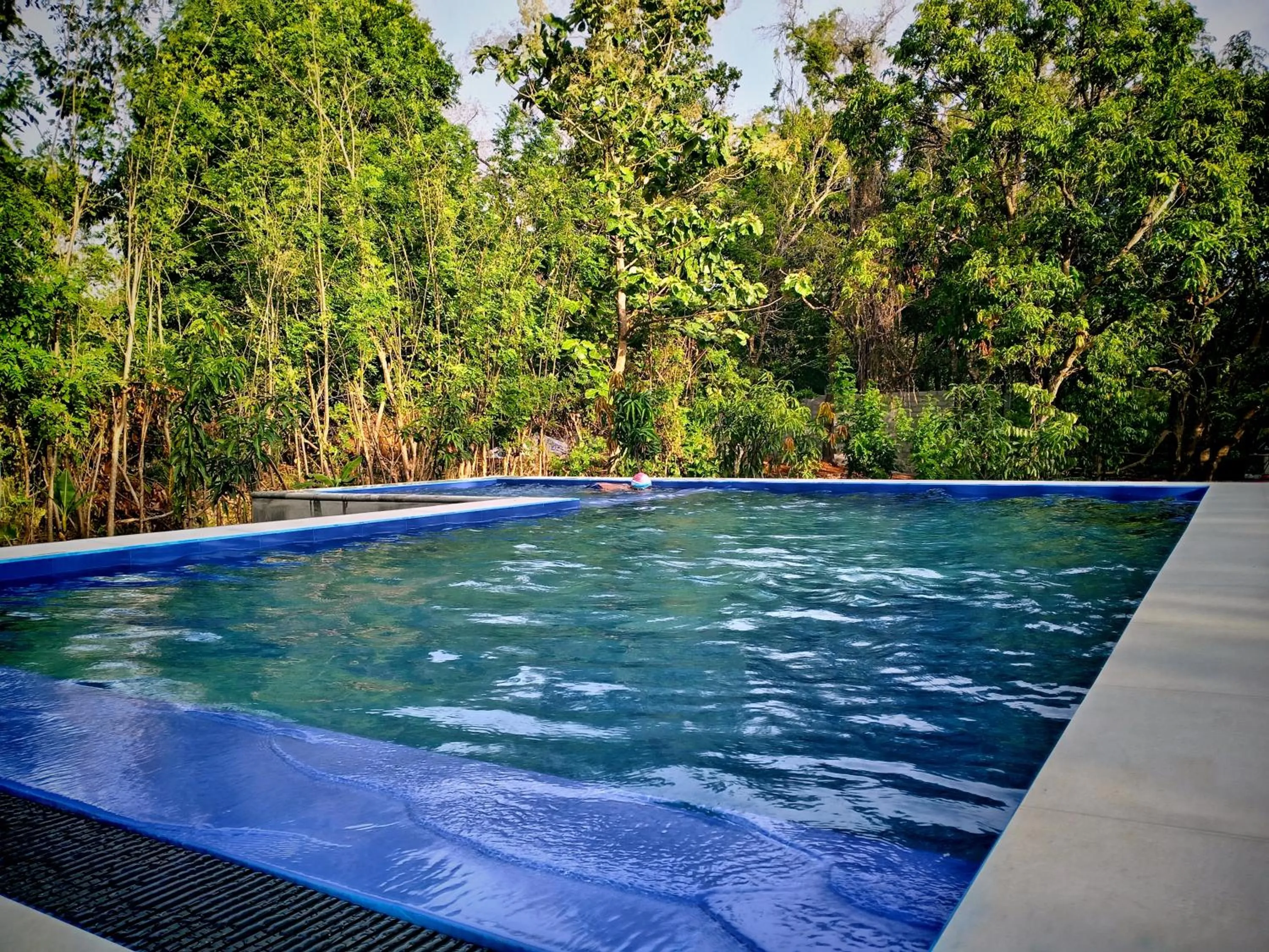Swimming pool in Sigiri Mango Garden Eco Resort