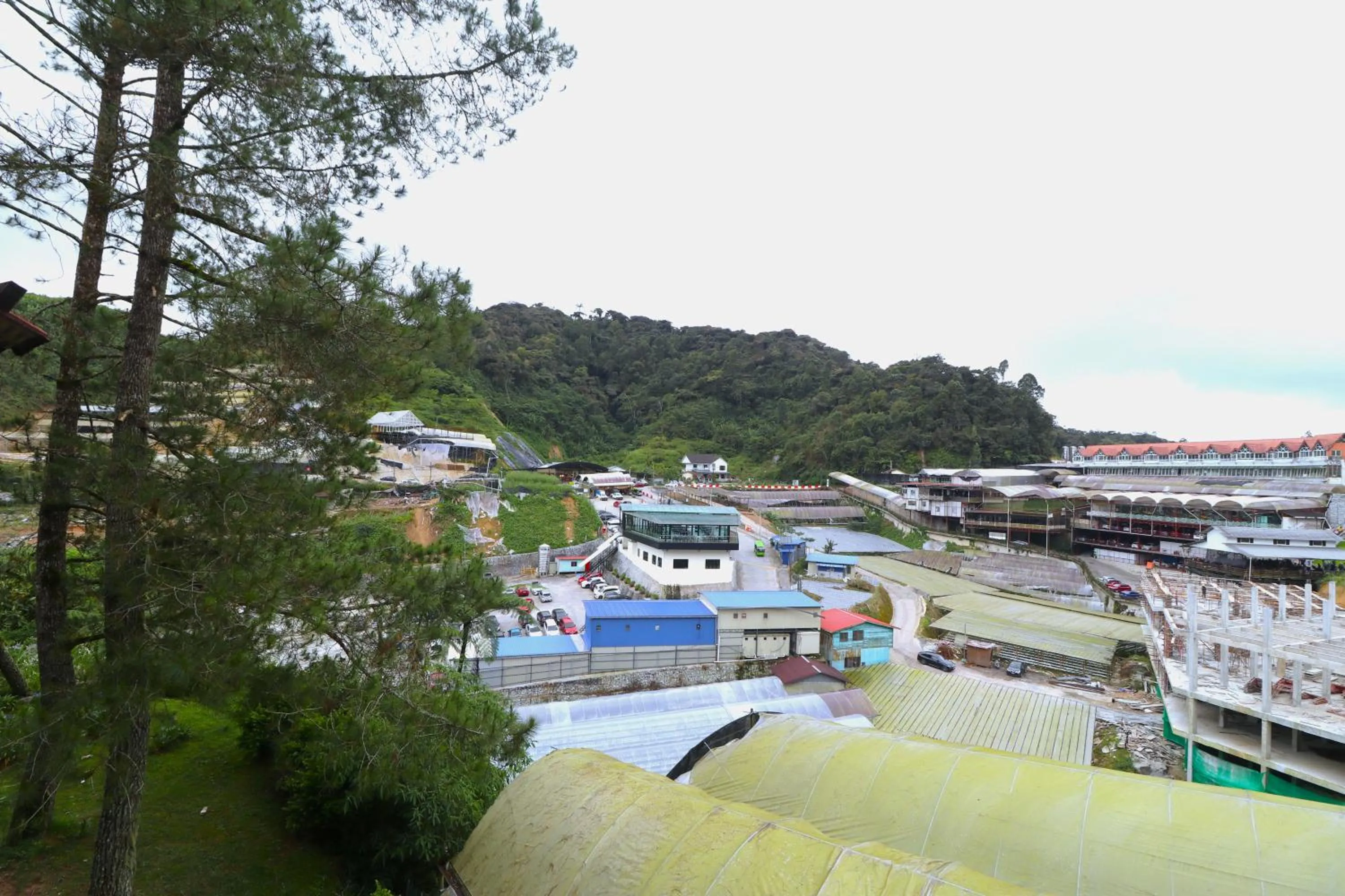 View (from property/room) in Zarania Hillhomes Cameron Highlands