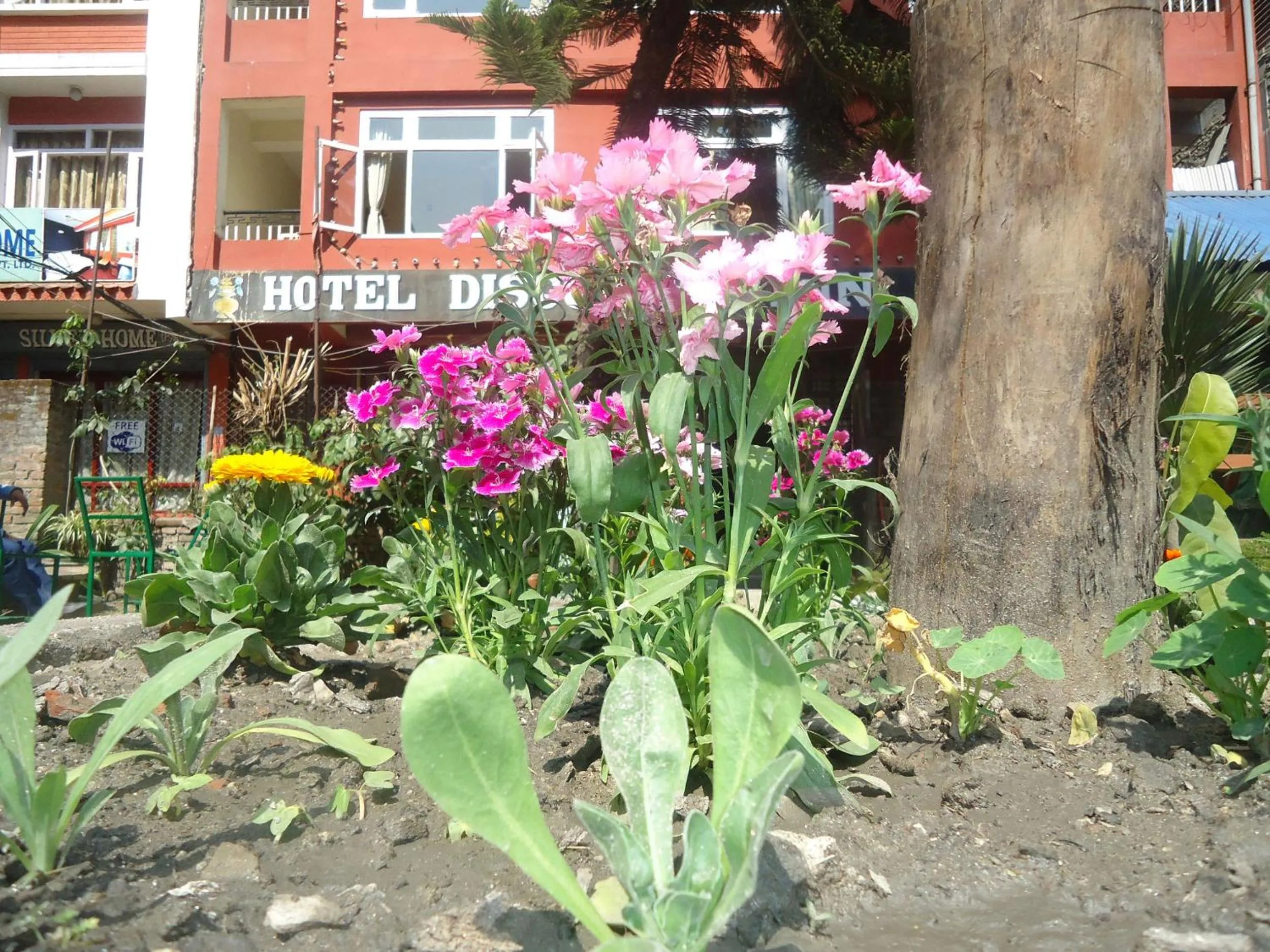 Other in Hotel Discovery Inn