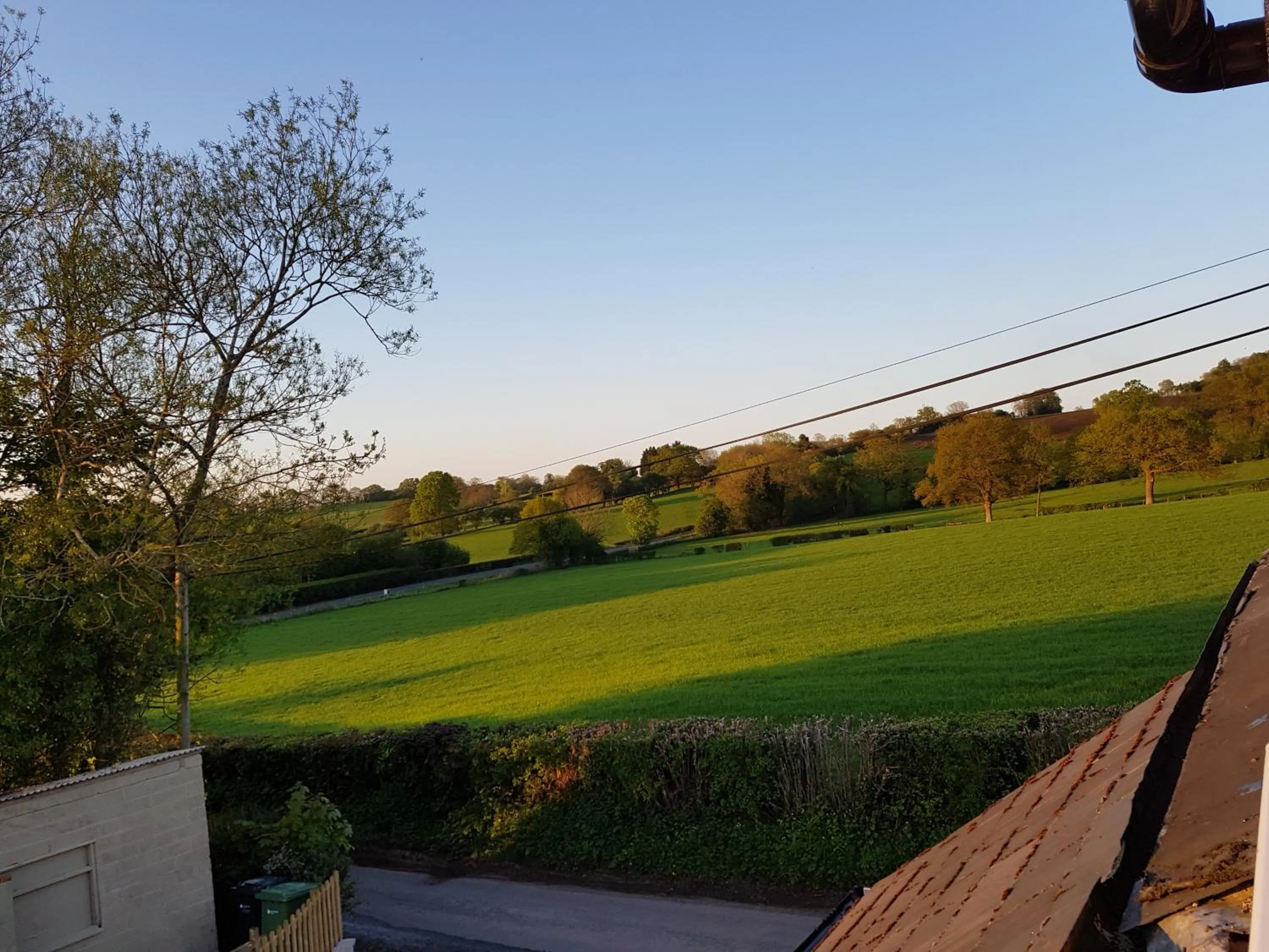 yew tree cottage