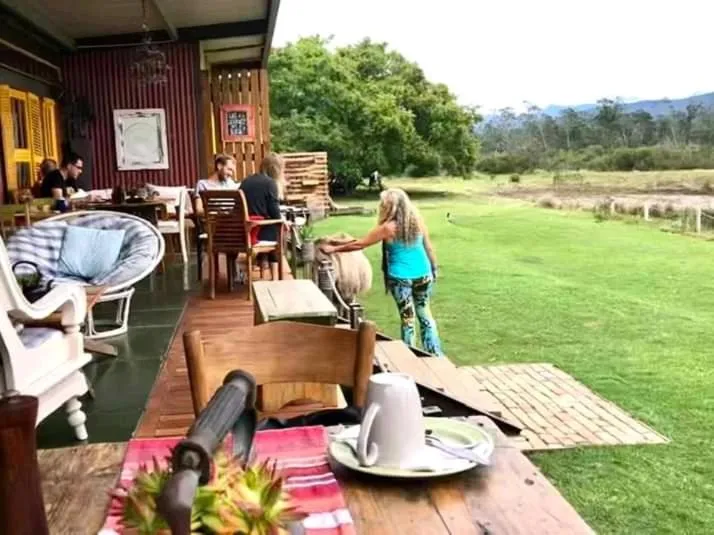 Restaurant/places to eat in ECO Lodge Villa Villekula