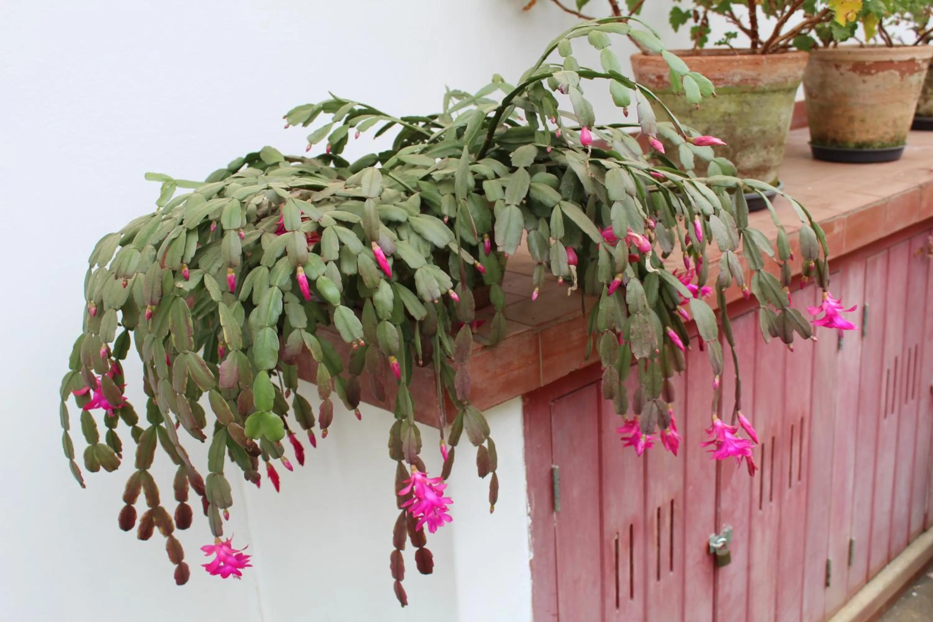 Casa Aconchegante no Capivari