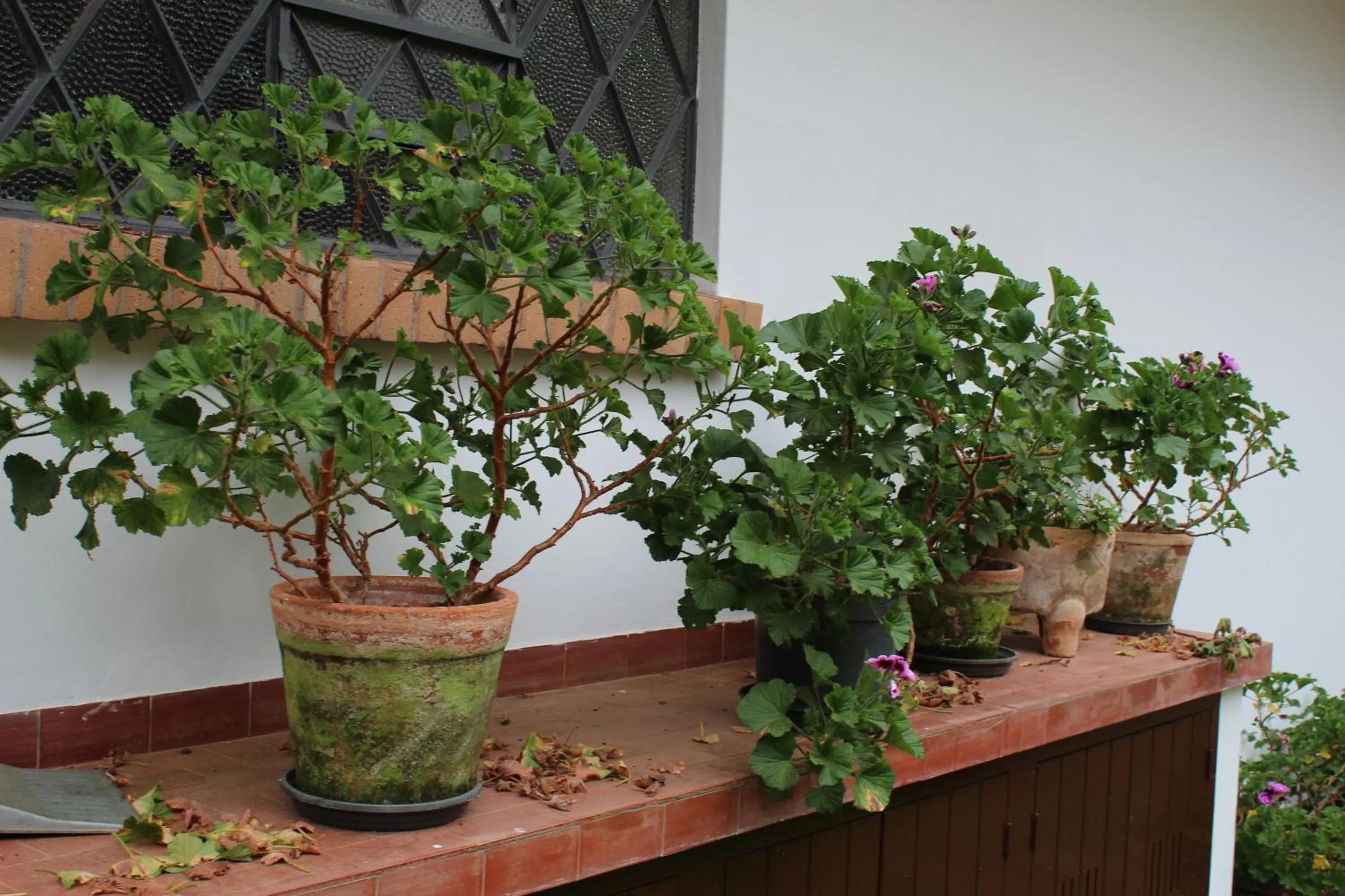 Casa Aconchegante no Capivari