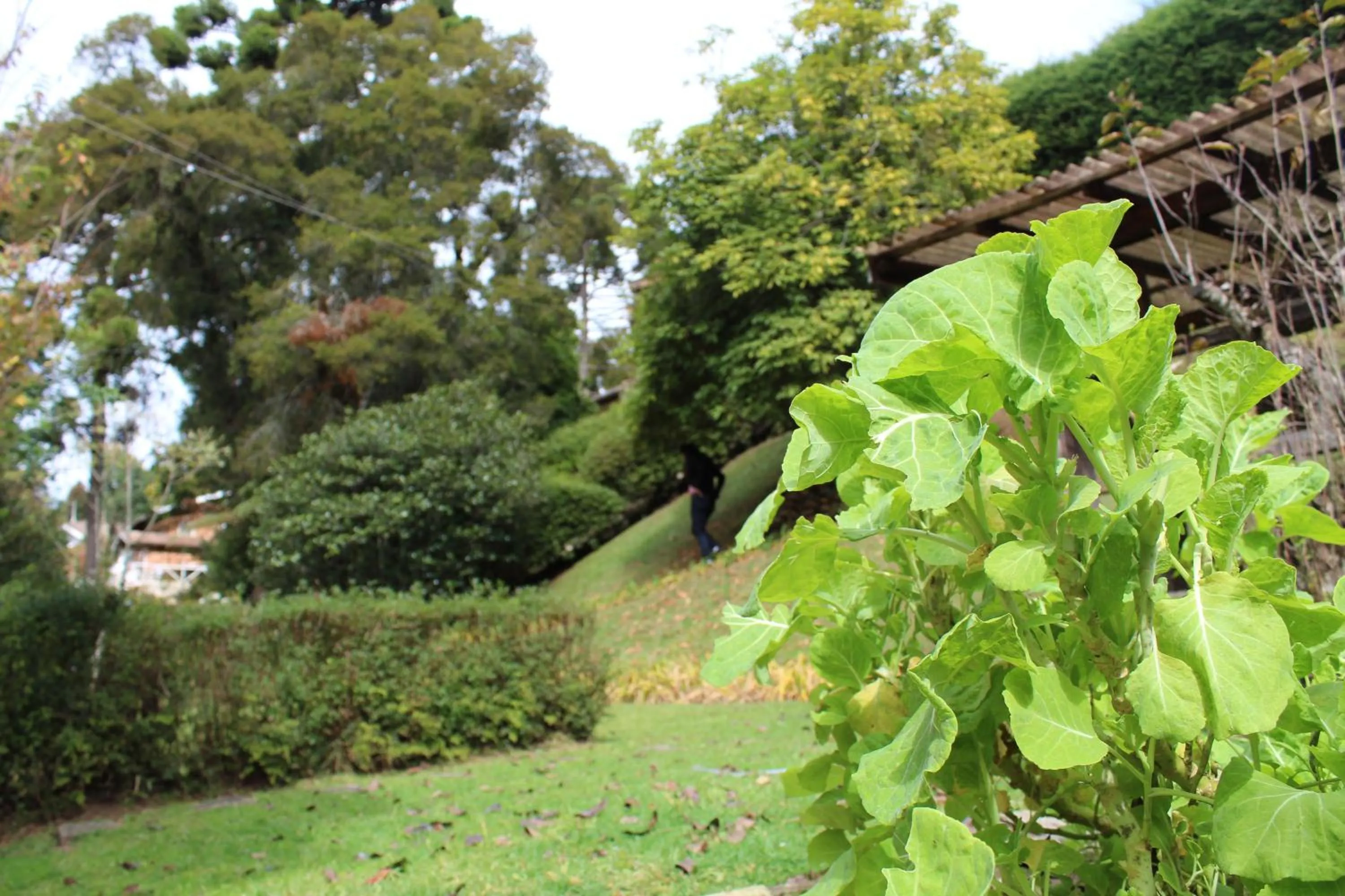 Casa Aconchegante no Capivari