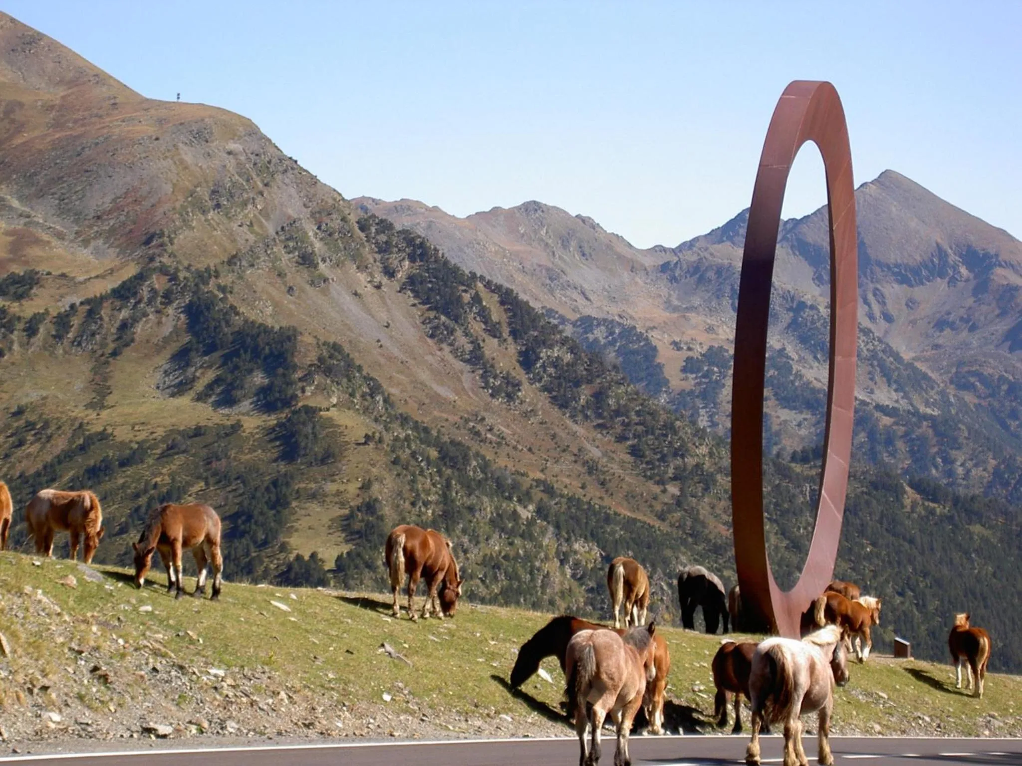 Natural landscape in ApartHotel RIALB