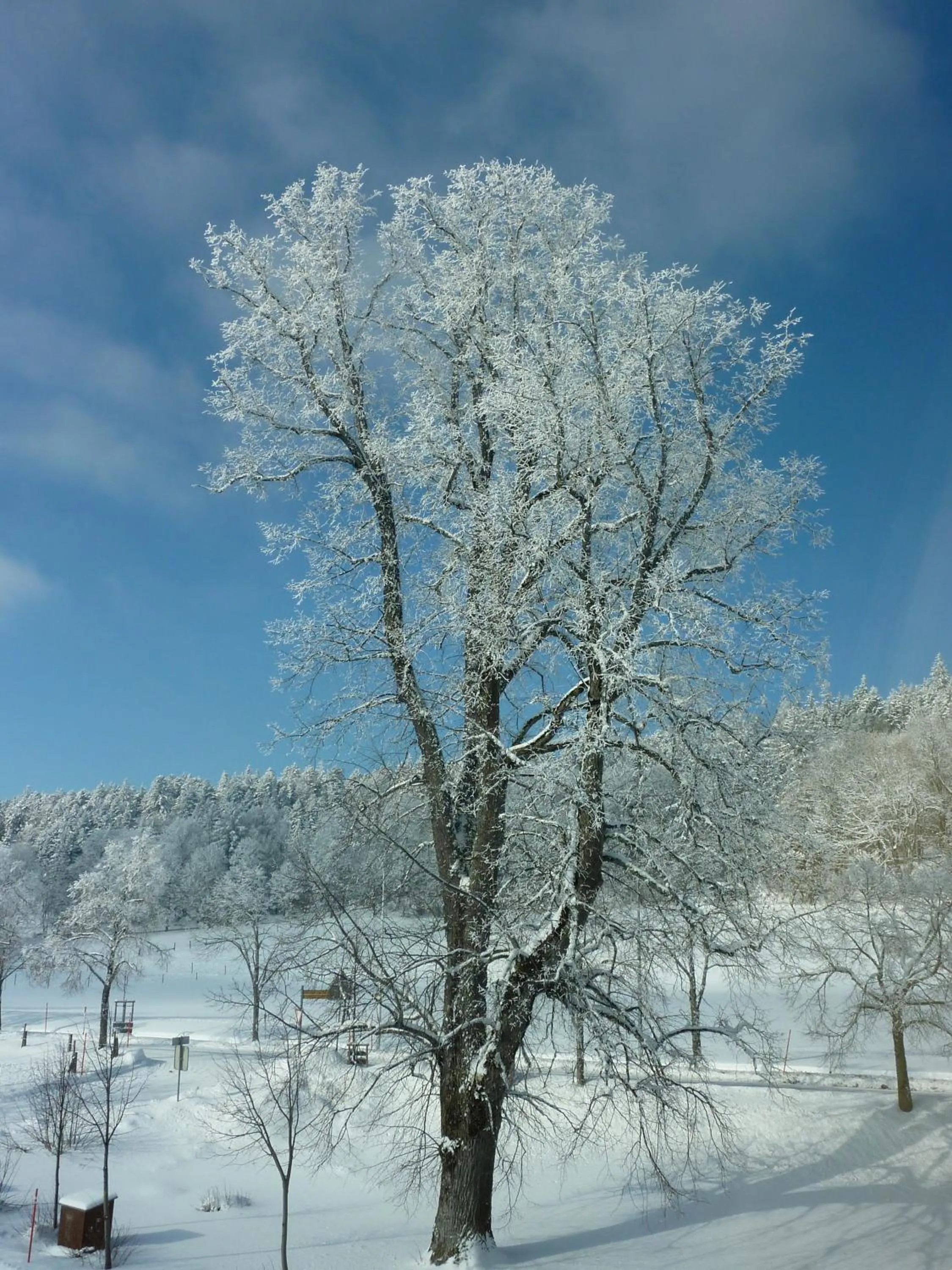 Area and facilities in Petit Hôtel de Chaumont