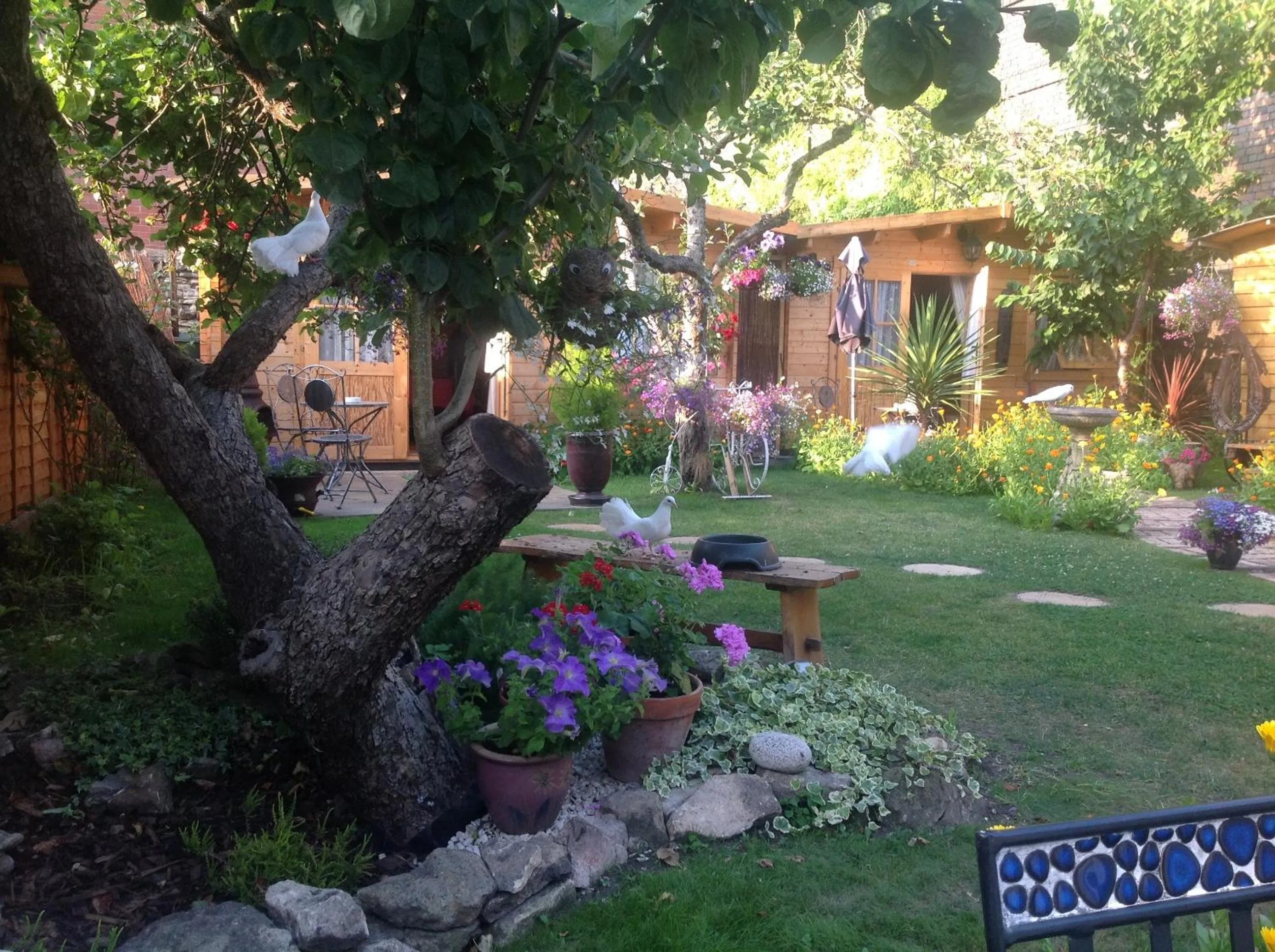 Property building in Alice Guest house