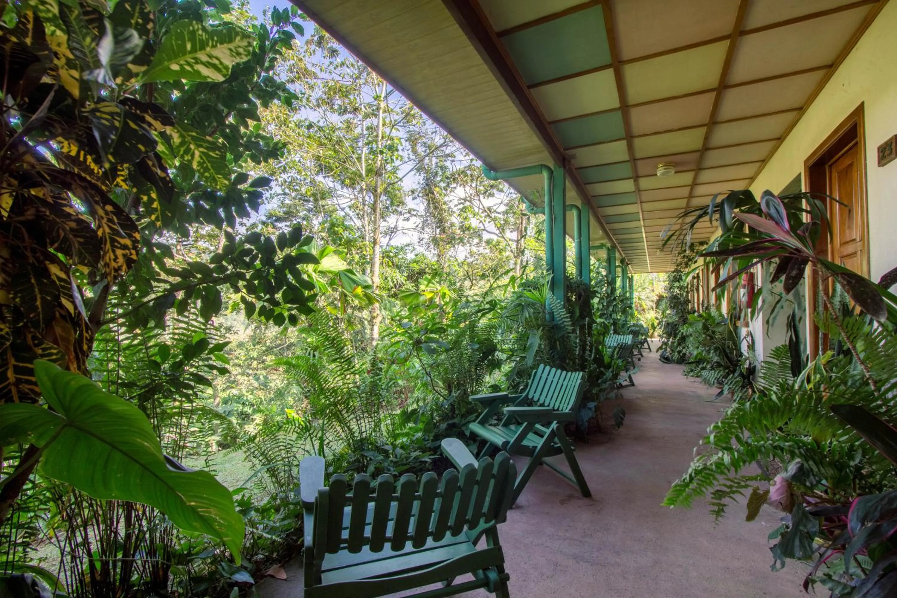 Garden in Lands in Love Hotel and Resort