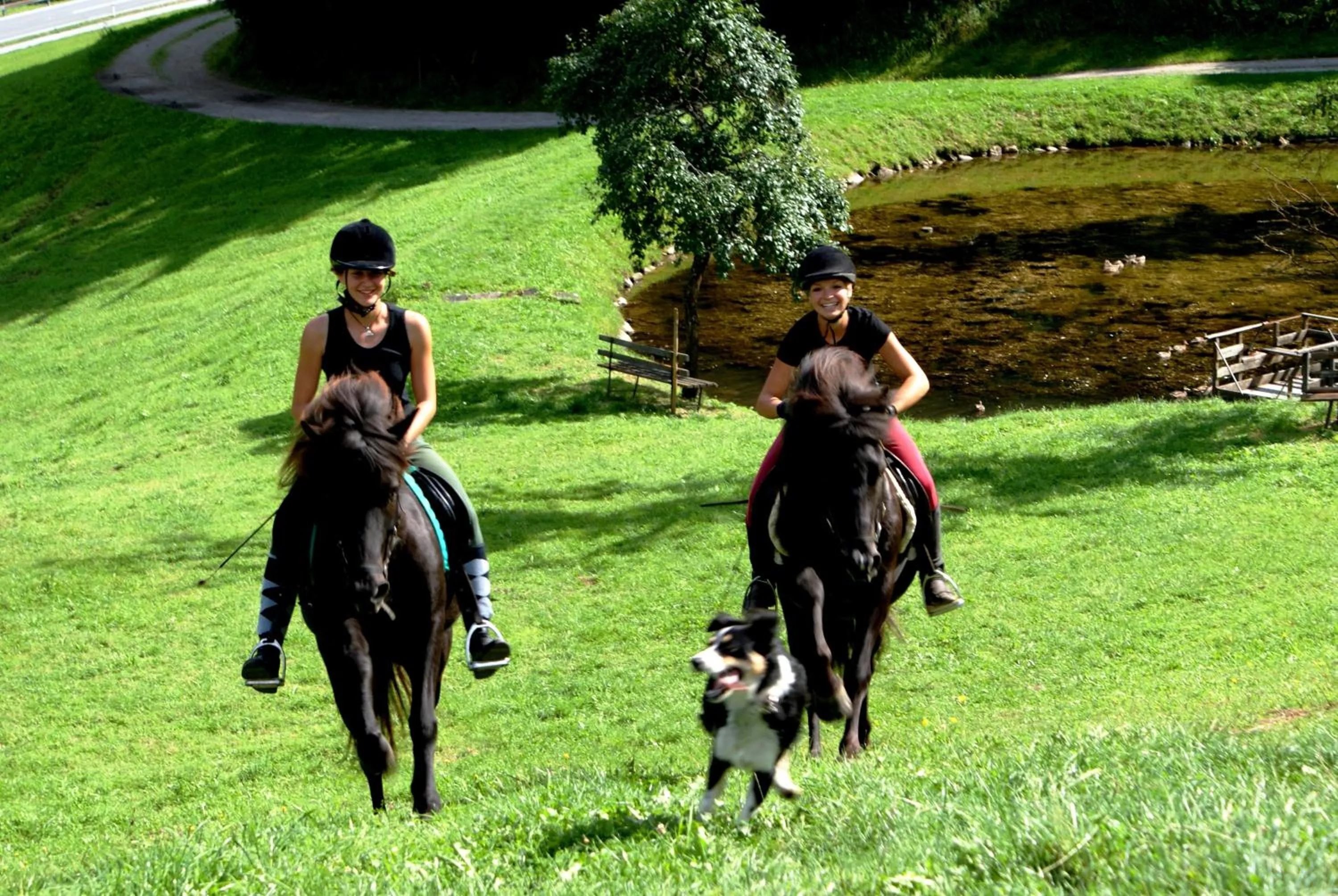 Activities in Aparthotel Ursprung