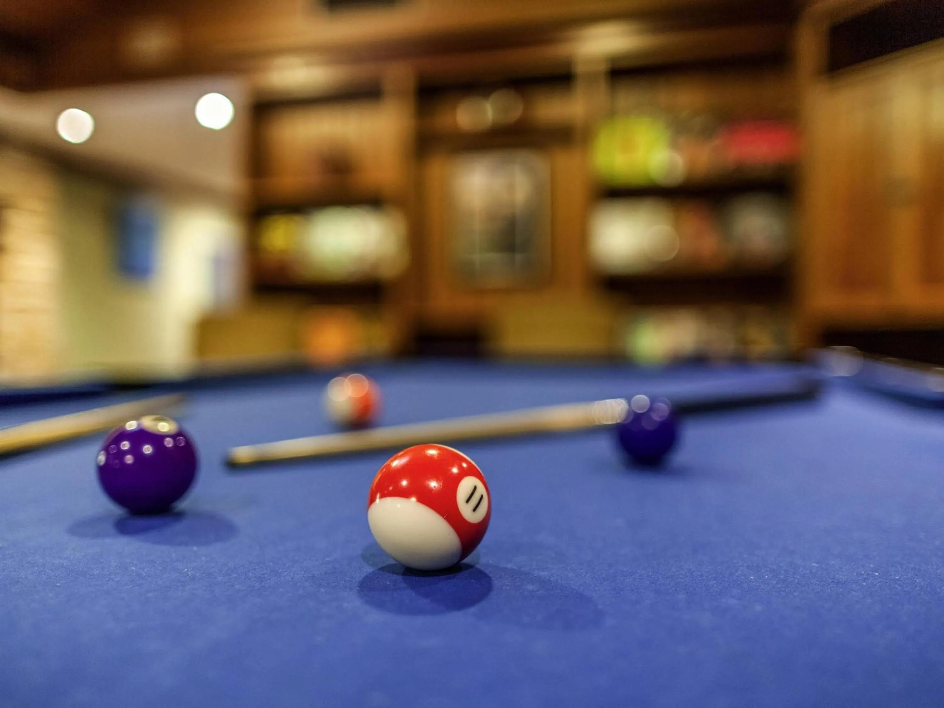 Lounge or bar in Mercure Hunter Valley Gardens