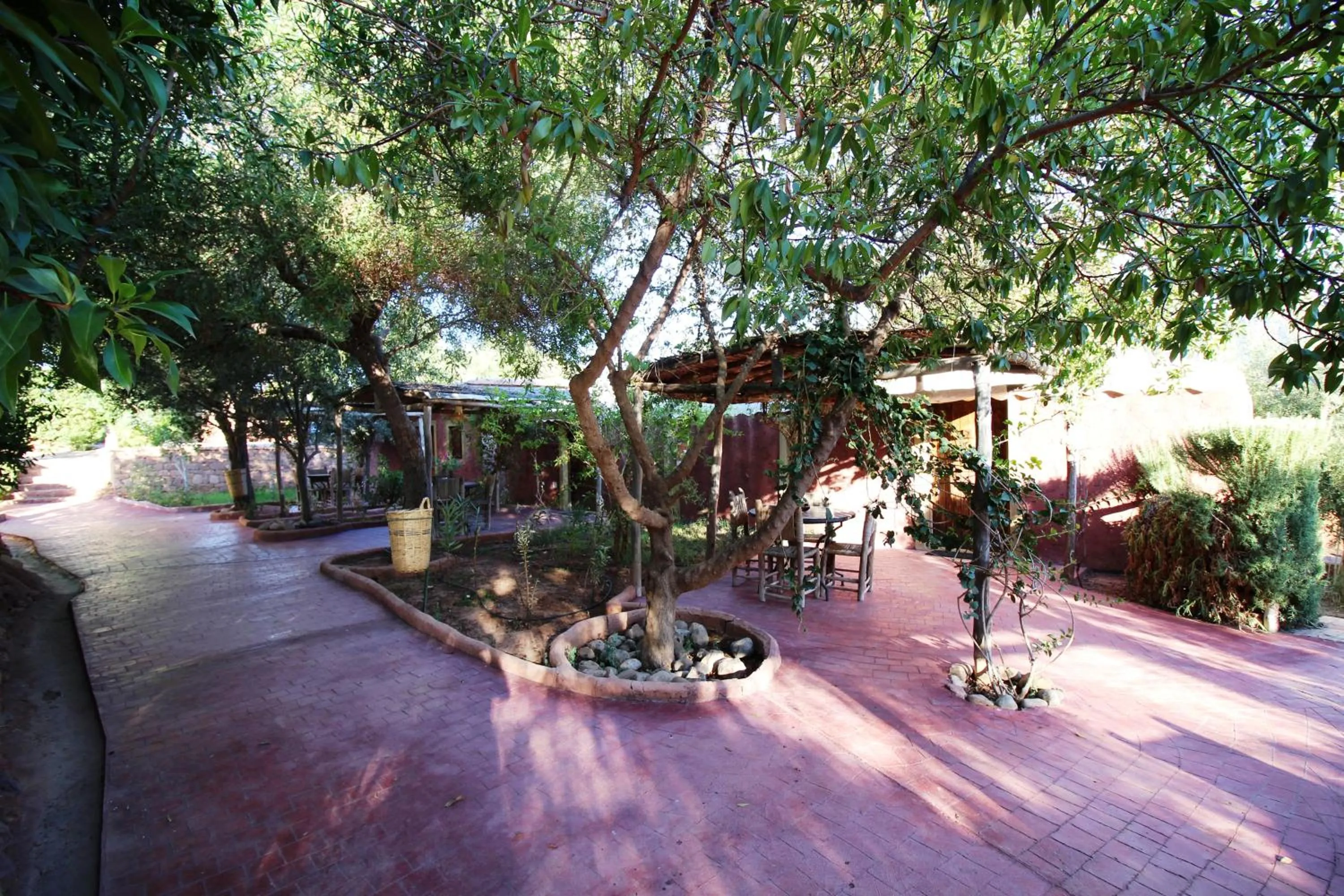 View (from property/room) in La Kasbah d'Ouzoud