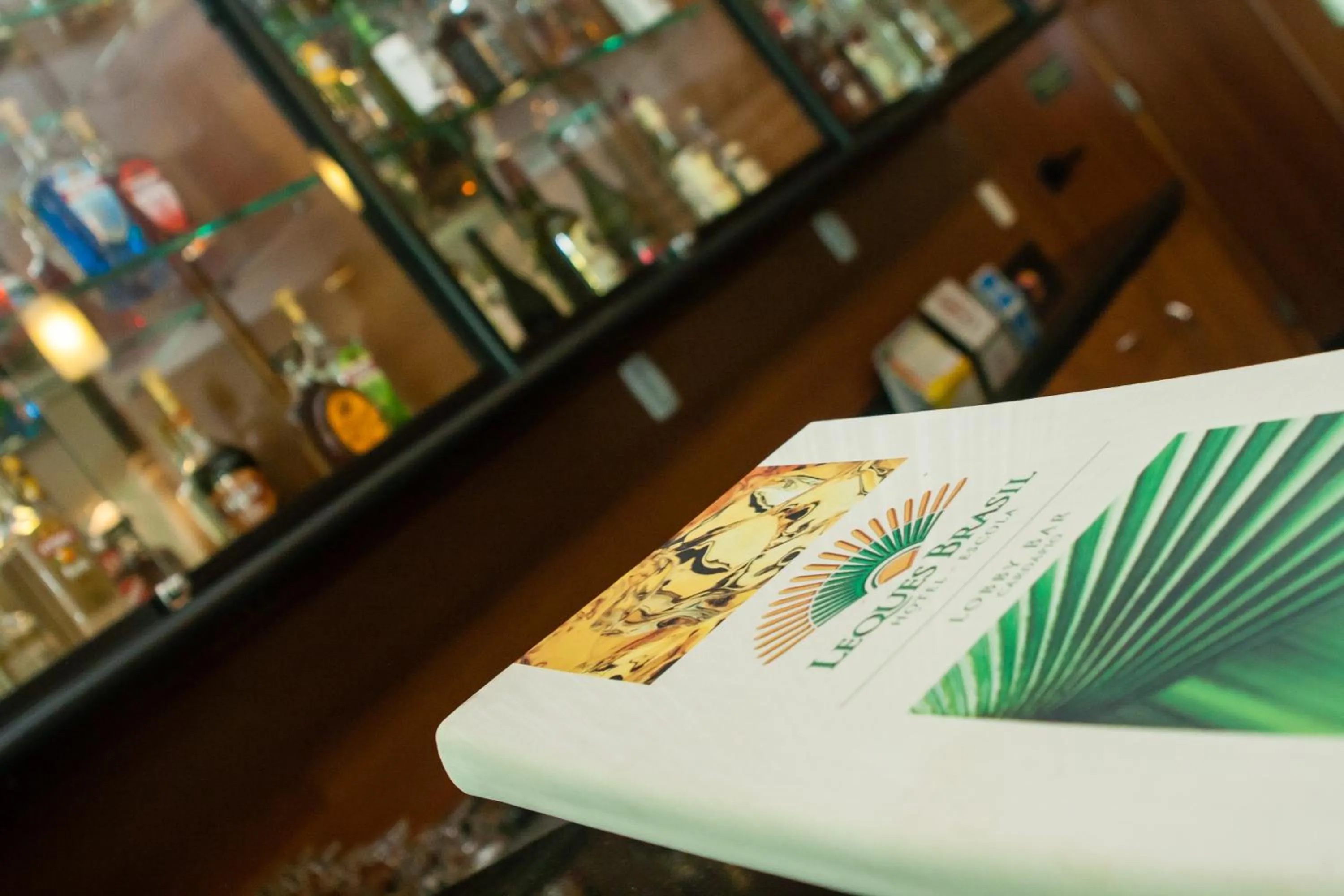 Lobby or reception in Leques Brasil Hotel Escola