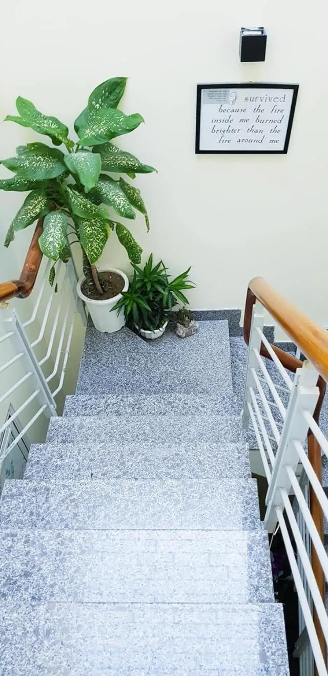 Quy Nhon Homestay BnB