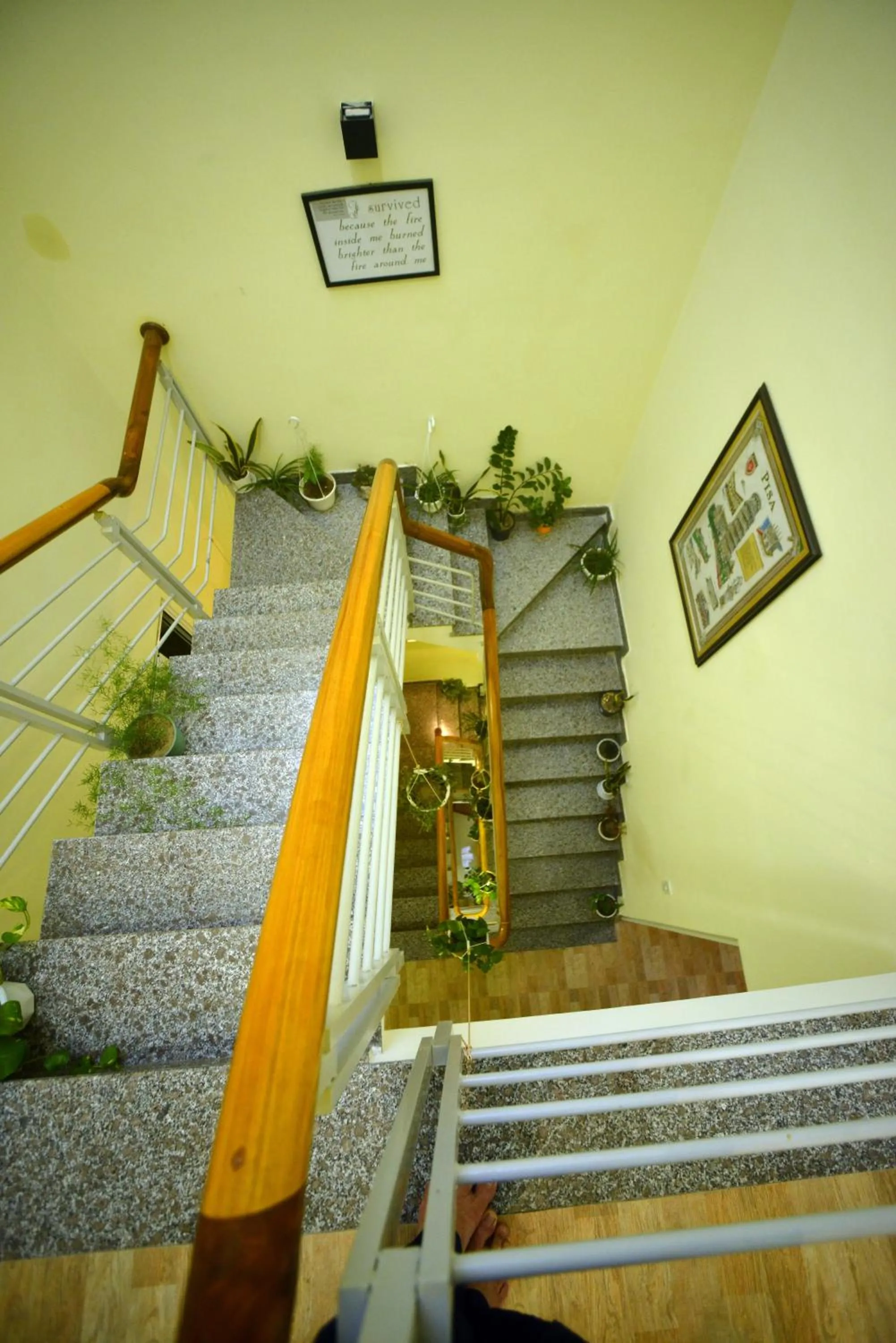 Quy Nhon Homestay BnB