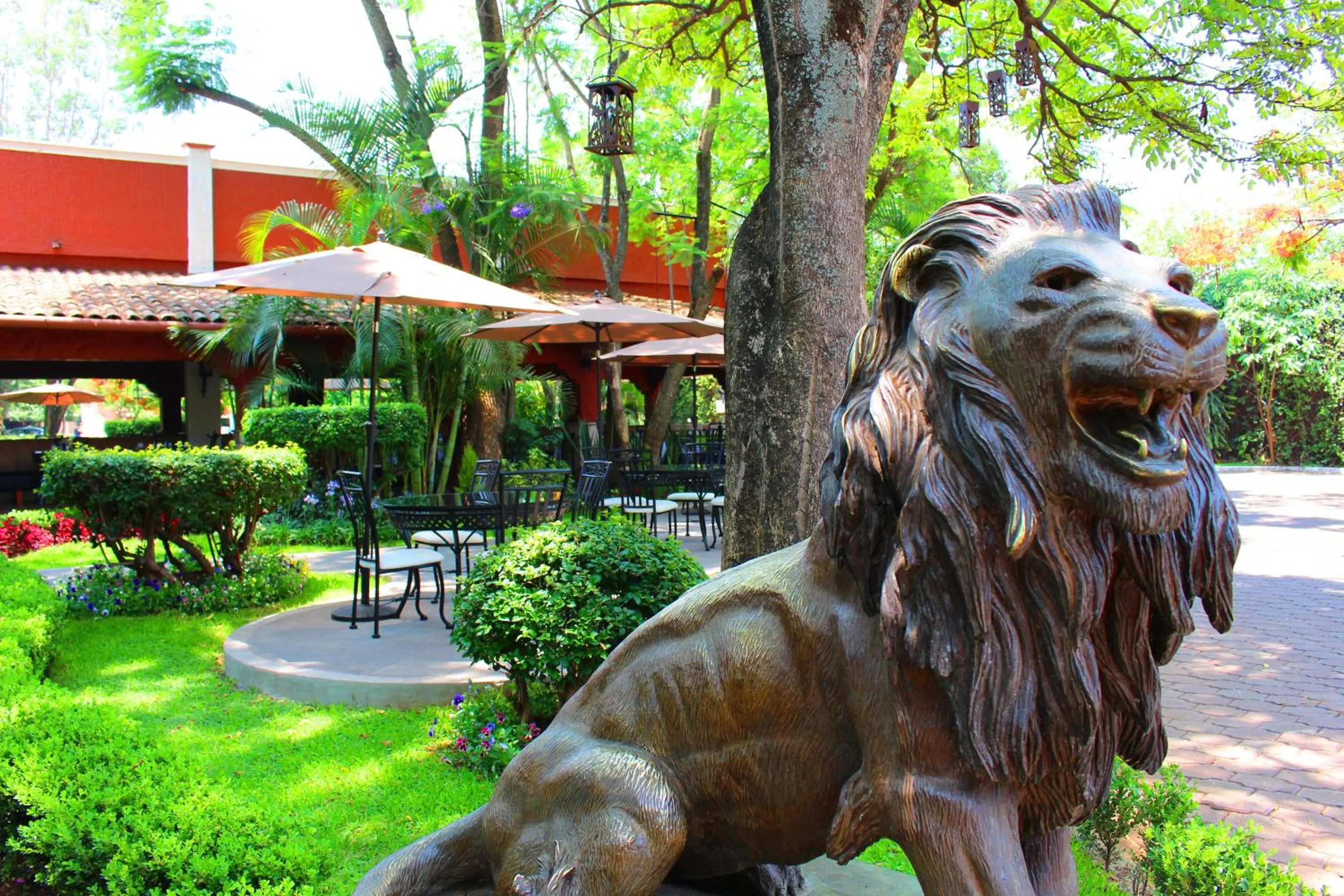 Restaurant/places to eat in Meson del Valle