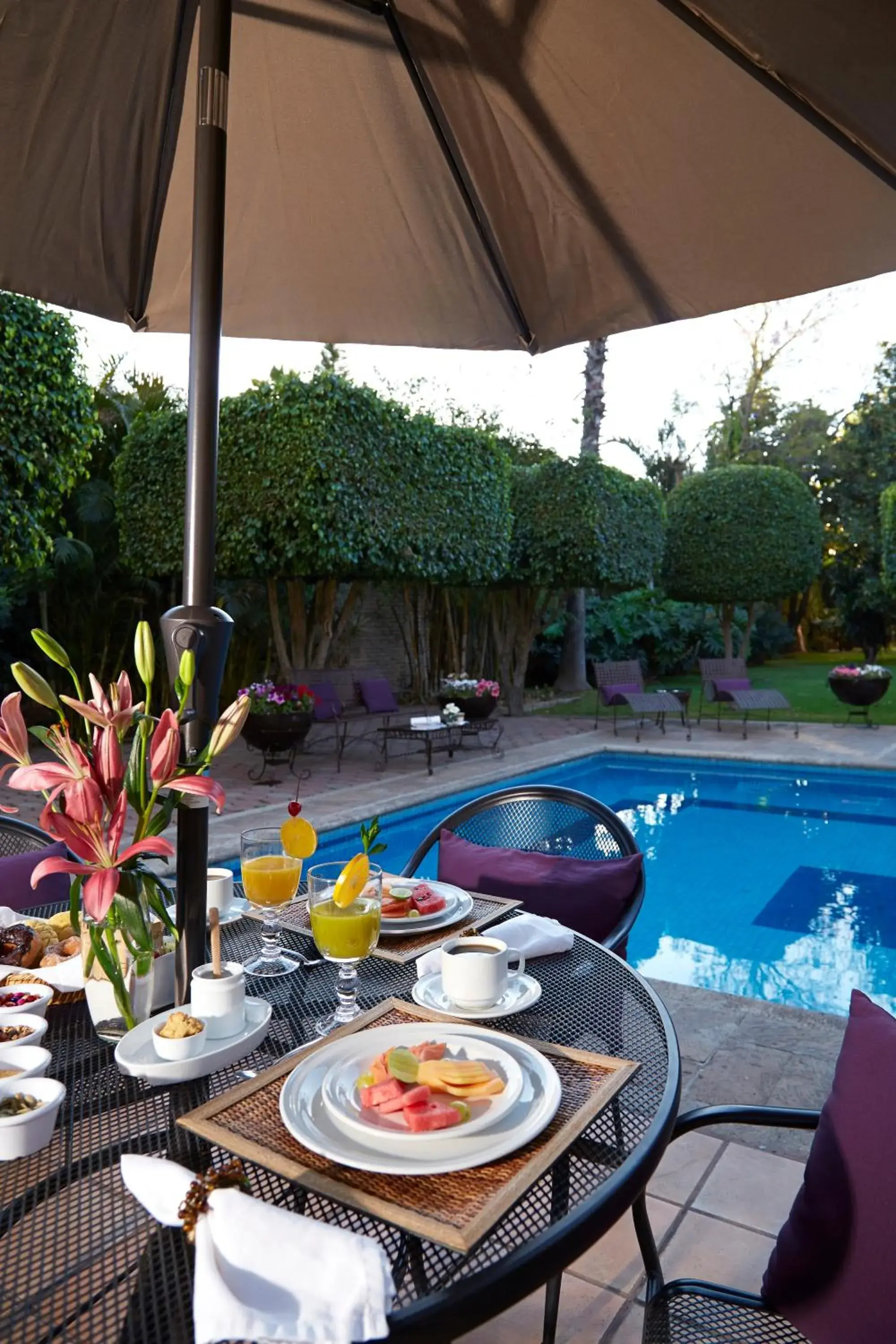 Meson del Valle Meson del Valle