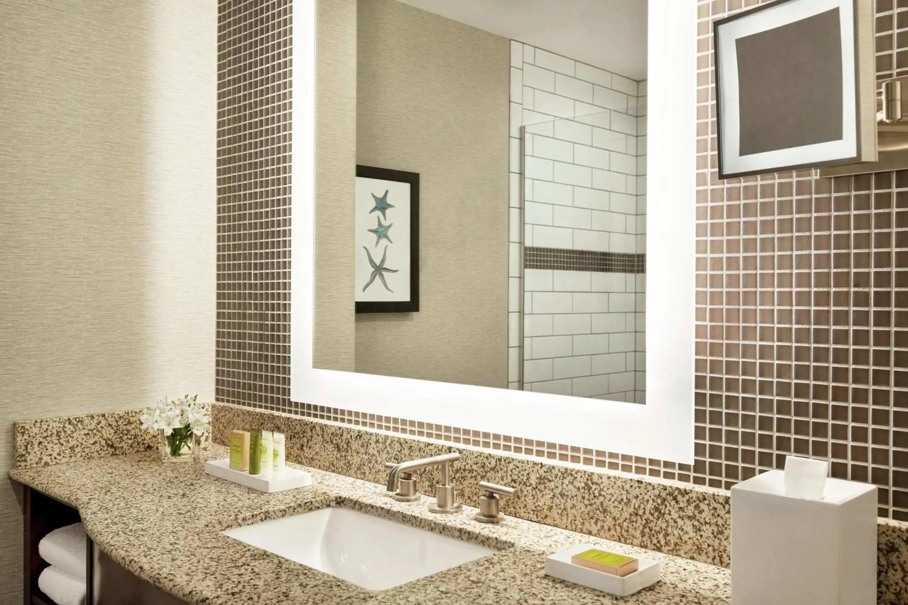 King Room with Pool View in Cape Rey Carlsbad Beach, A Hilton Resort & Spa King Room with Pool View in Cape Rey Carlsbad Beach, A Hilton Resort & Spa