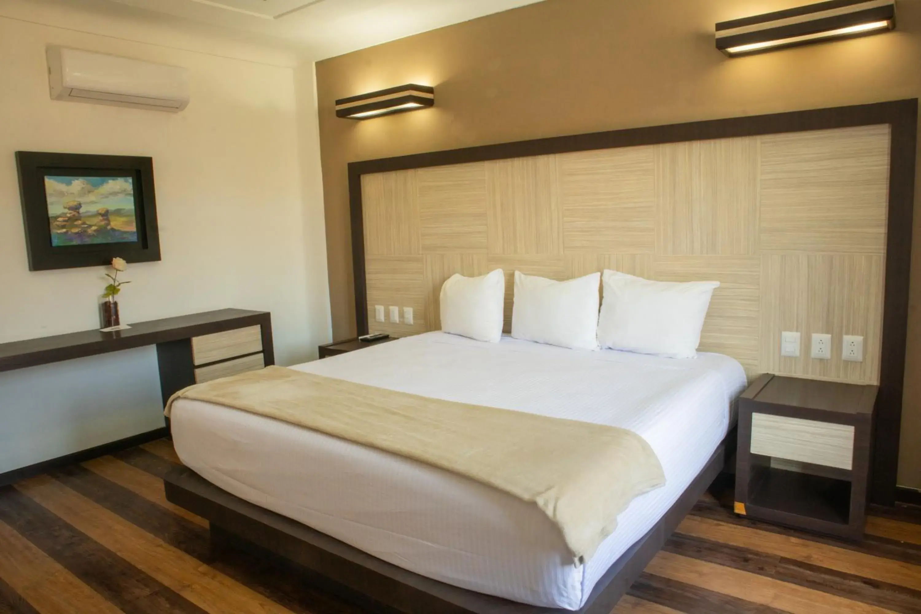 Double Room in Hotel Paseo de la Presa Double Room in Hotel Paseo de la Presa