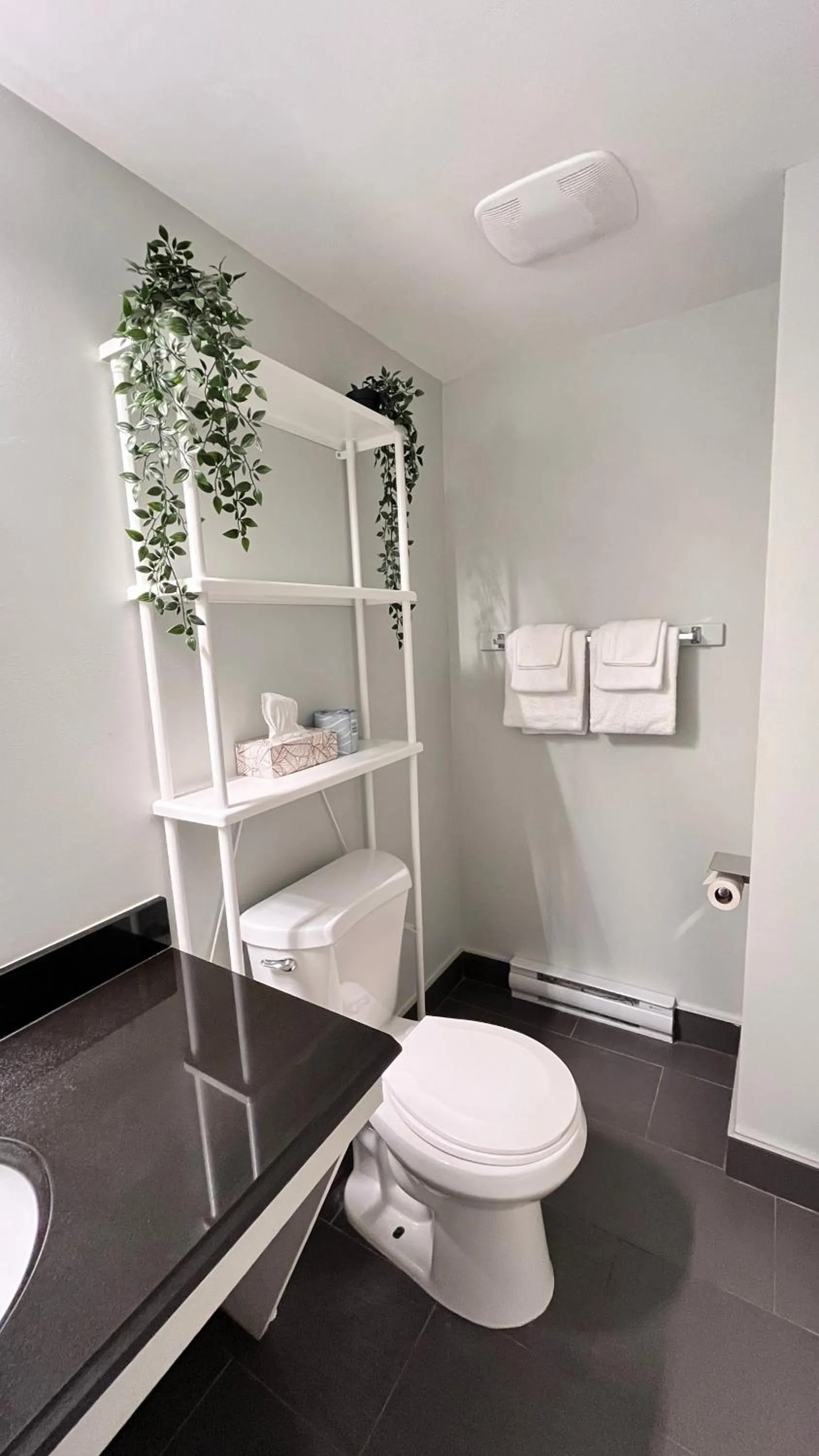 Toilet in Harbour Light Motel