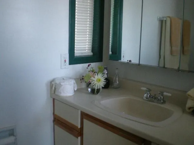 Bathroom in Island View B&B