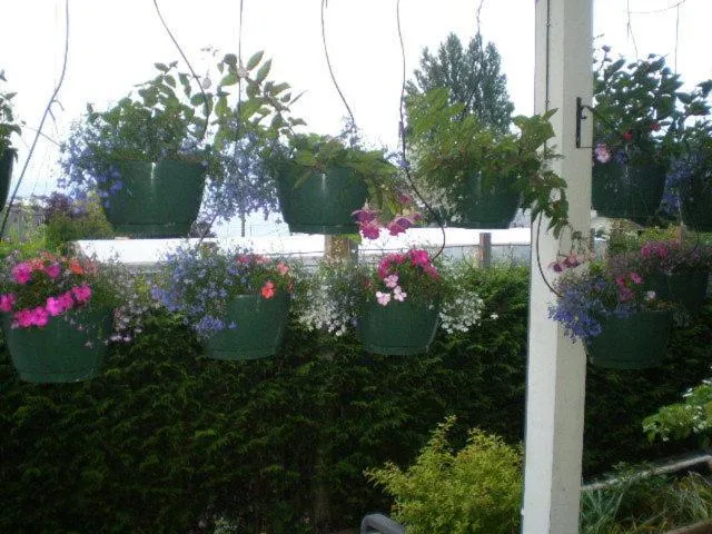 Decorative detail in Island View B&B