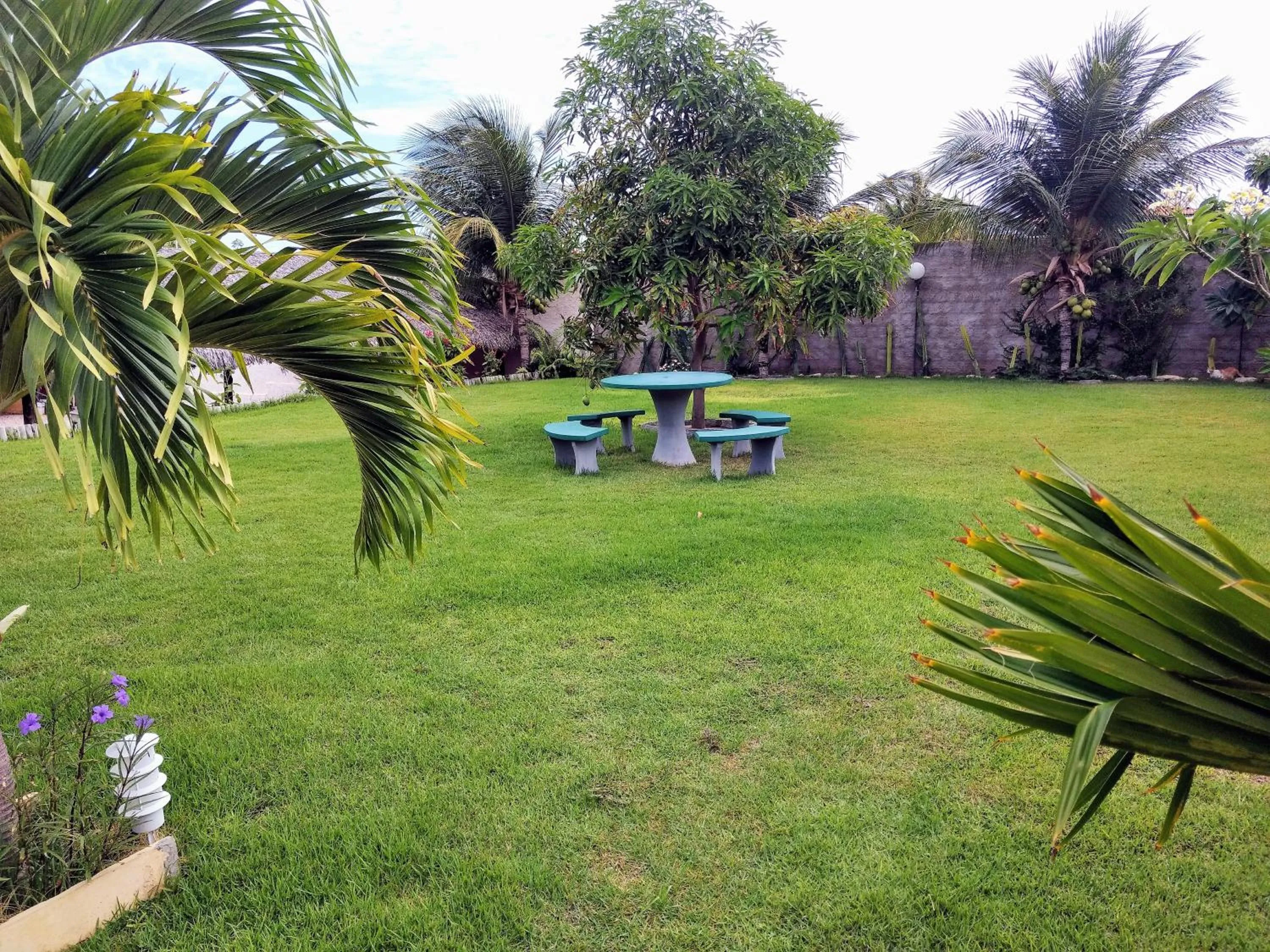 Garden in Jardim dos Orixás