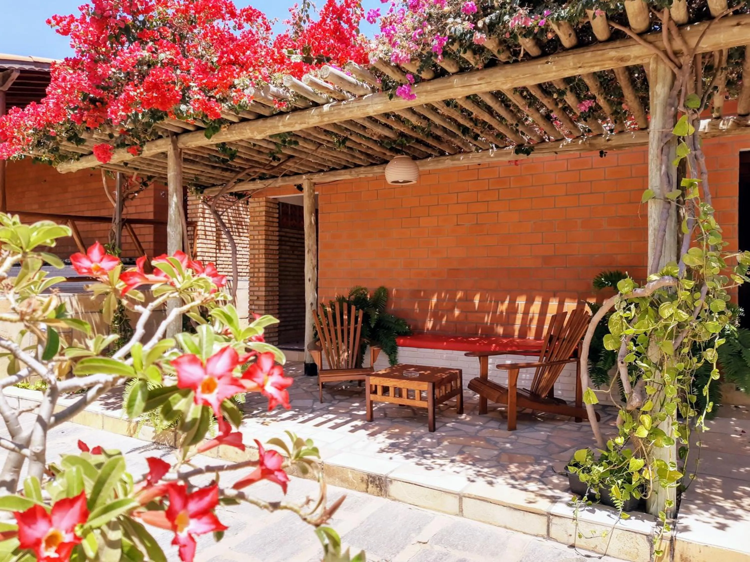 Garden view in Jardim dos Orixás