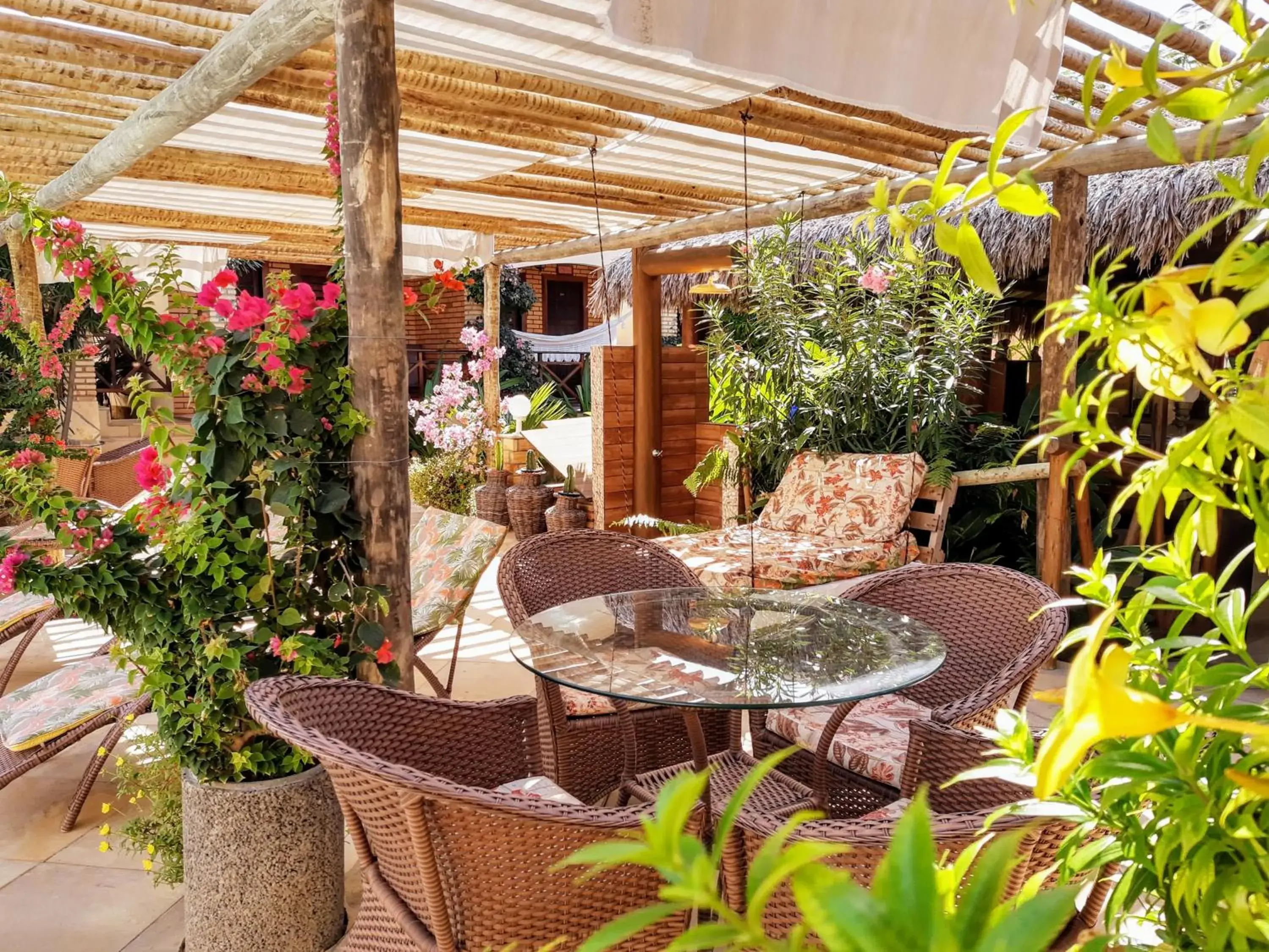 Garden view in Jardim dos Orixás Garden view in Jardim dos Orixás