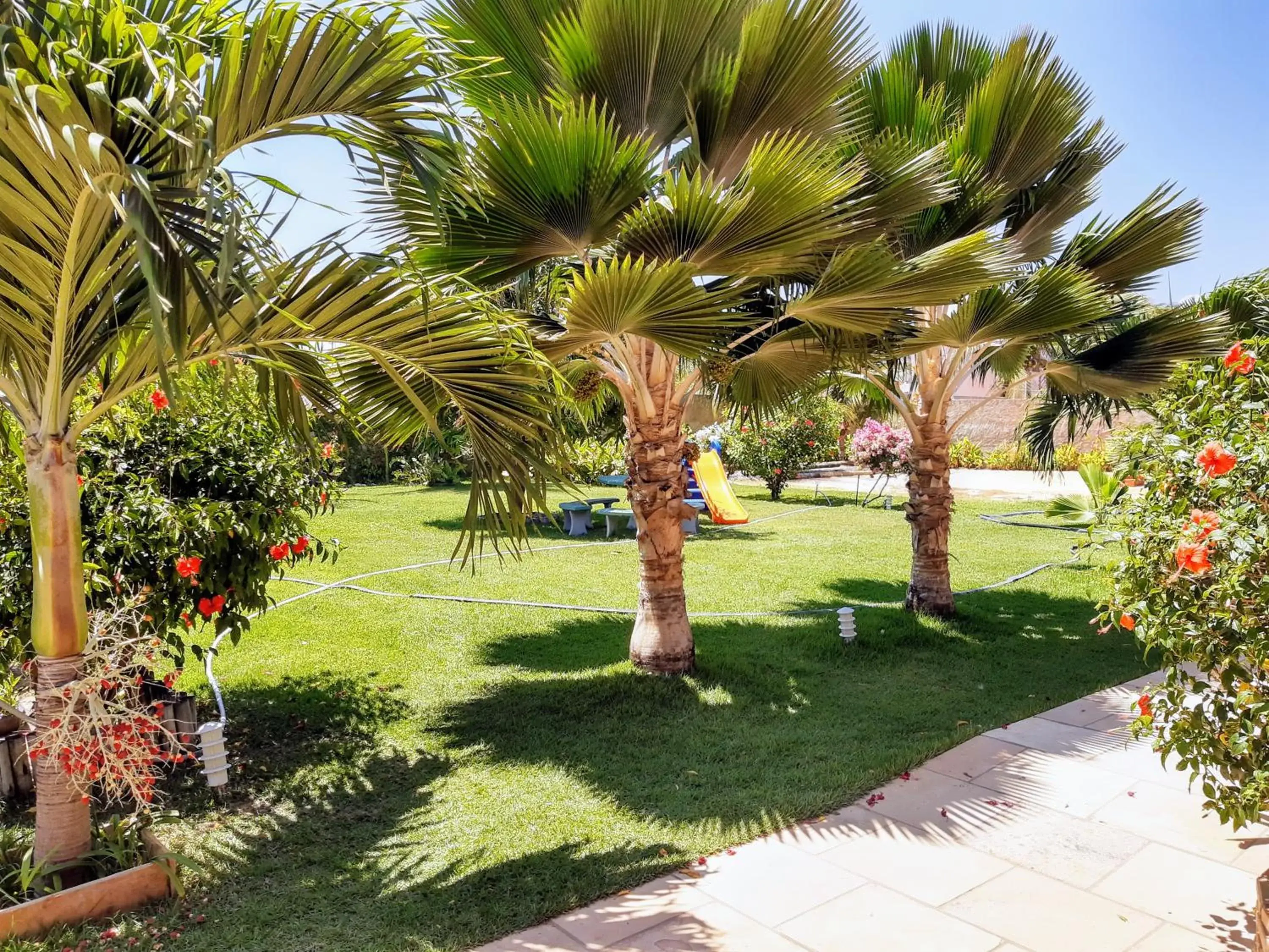 Garden view in Jardim dos Orixás Garden view in Jardim dos Orixás