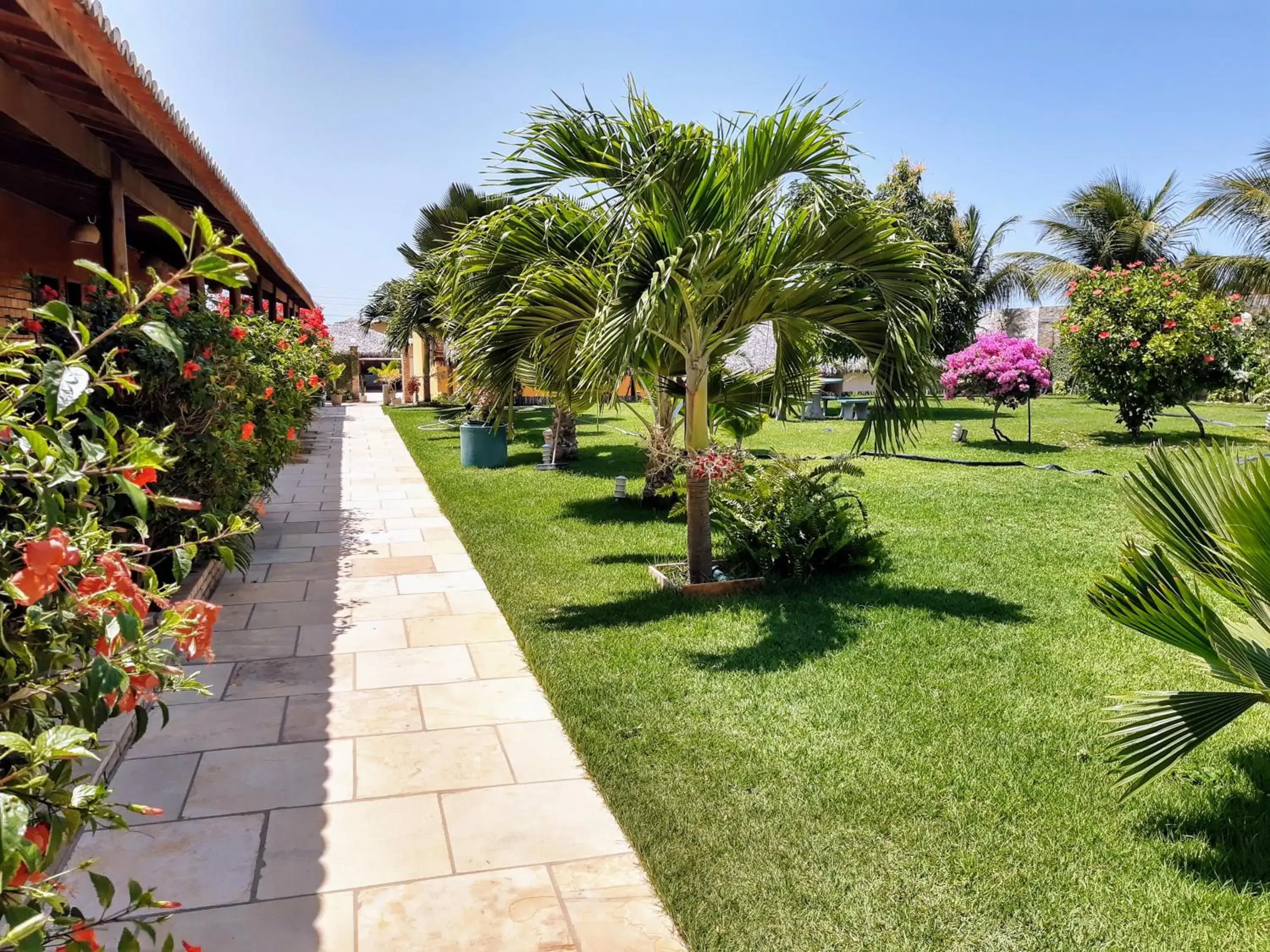 Garden view in Jardim dos Orixás Garden view in Jardim dos Orixás