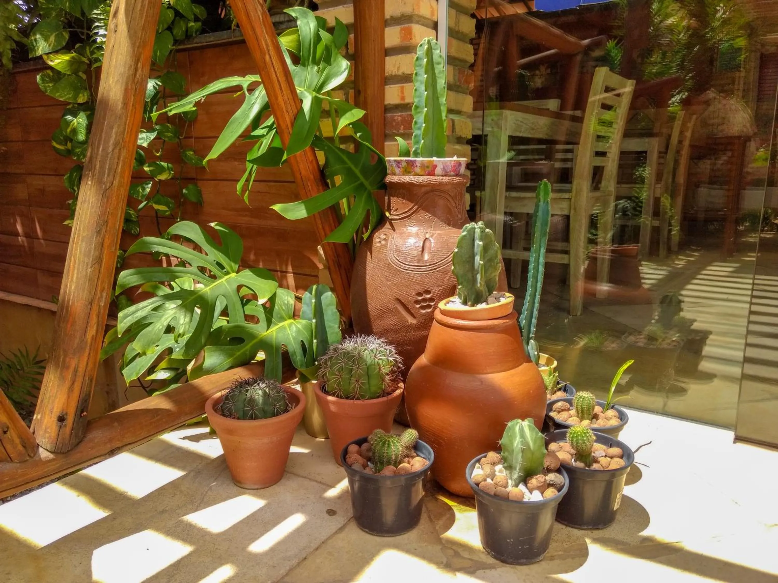 Garden view in Jardim dos Orixás