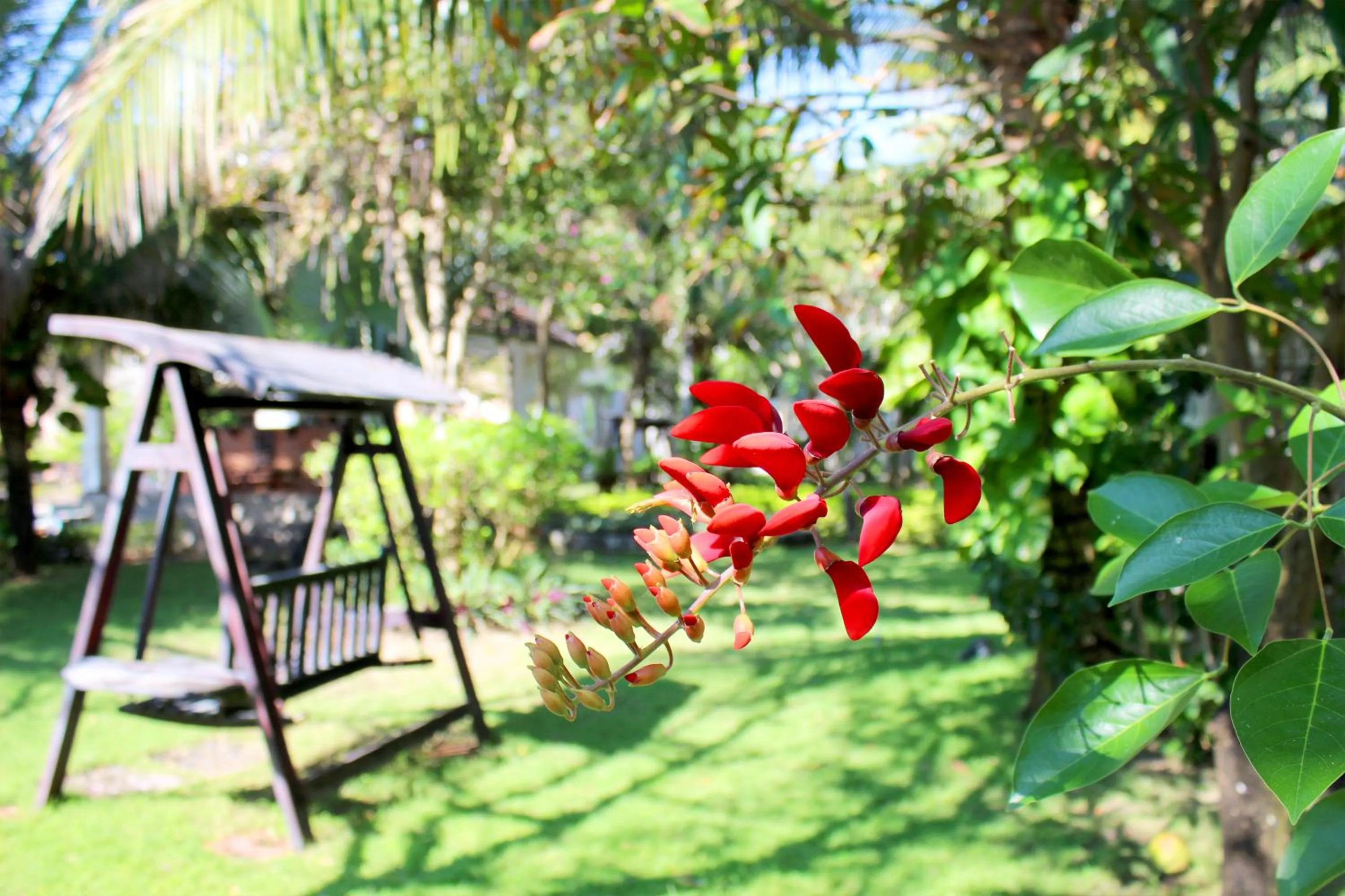 Property building in Champa Resort & Spa