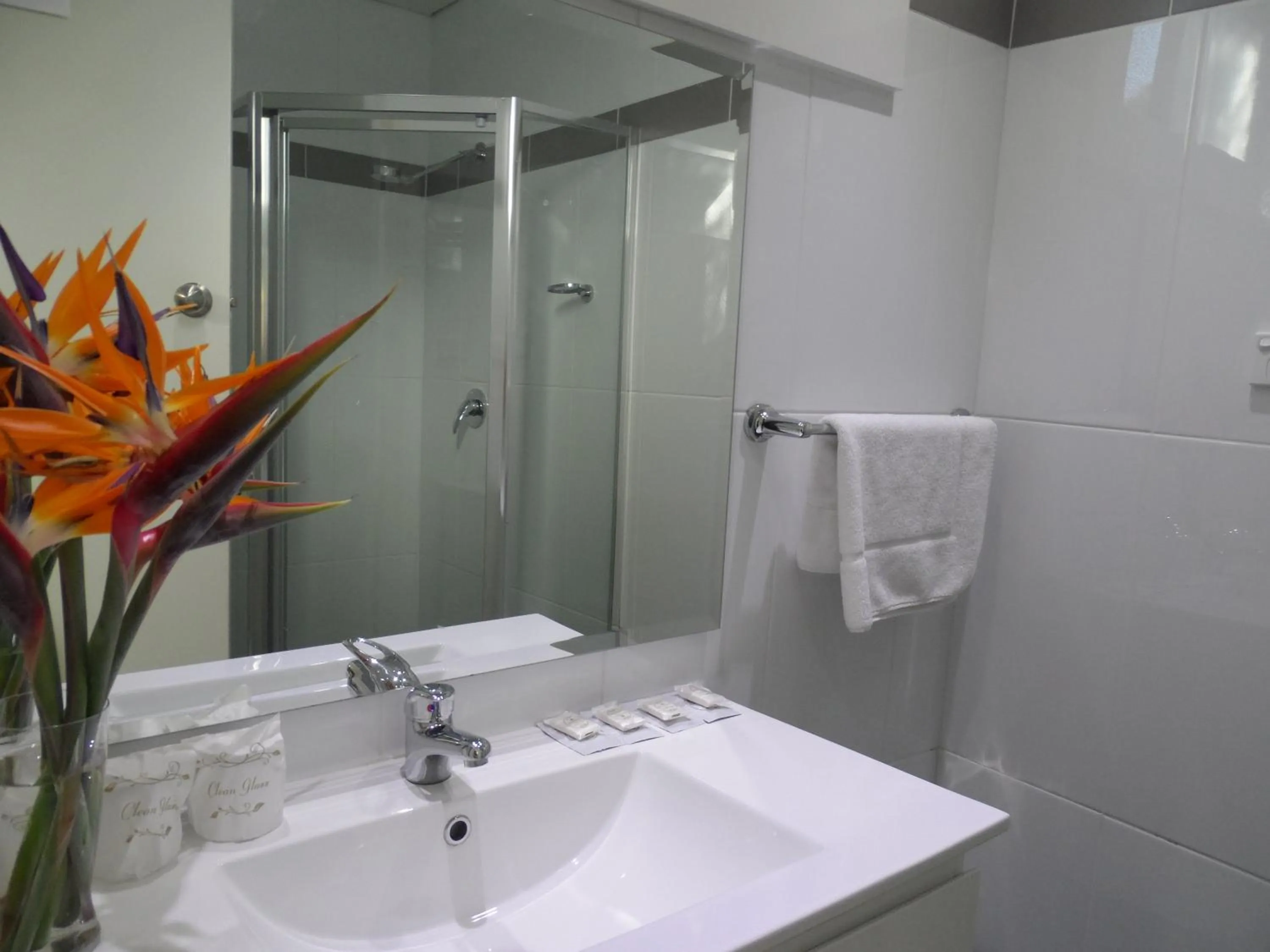 Bathroom in Liberty Plains Motor Inn