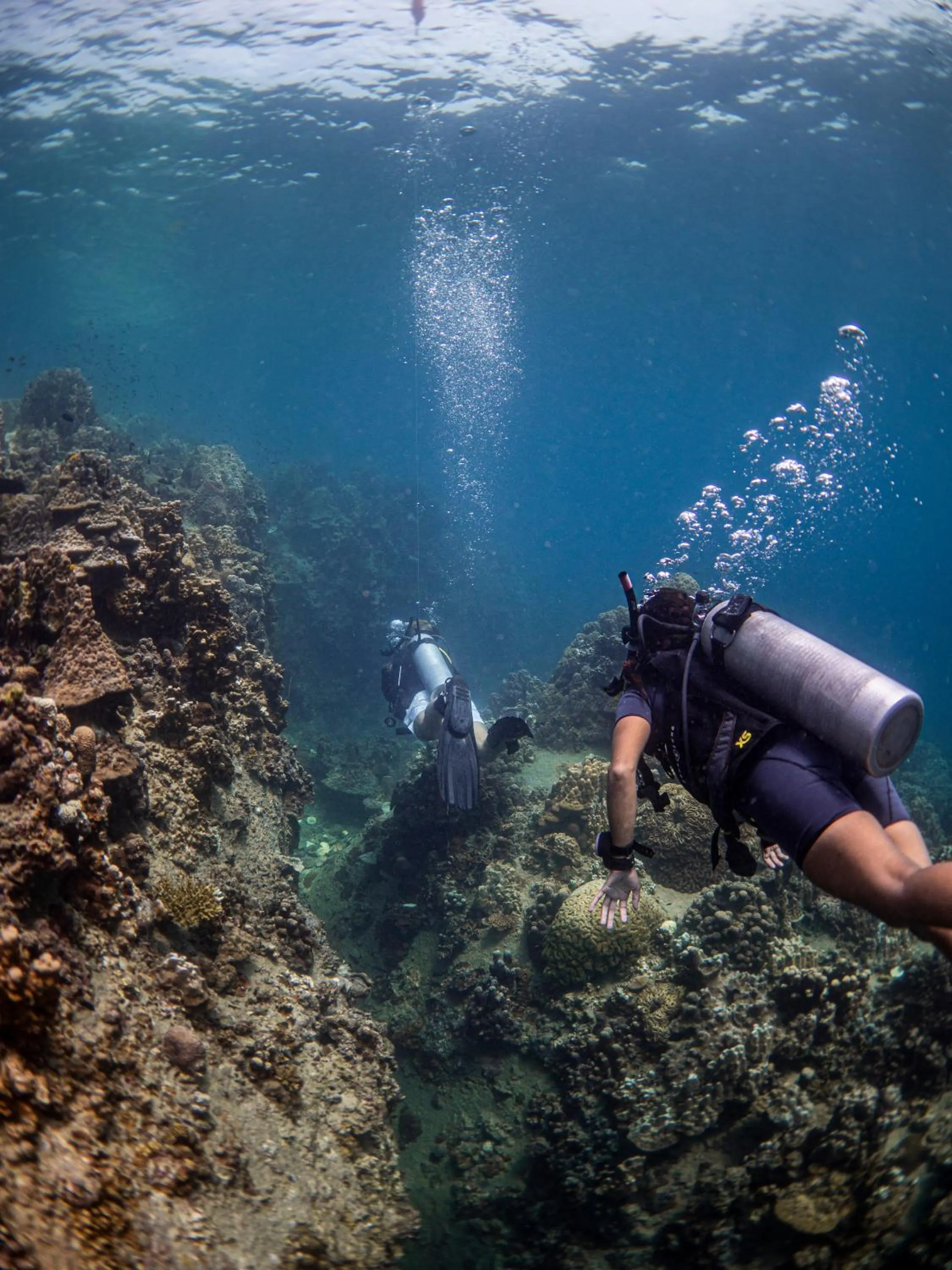 Diving in Ban's Diving Resort