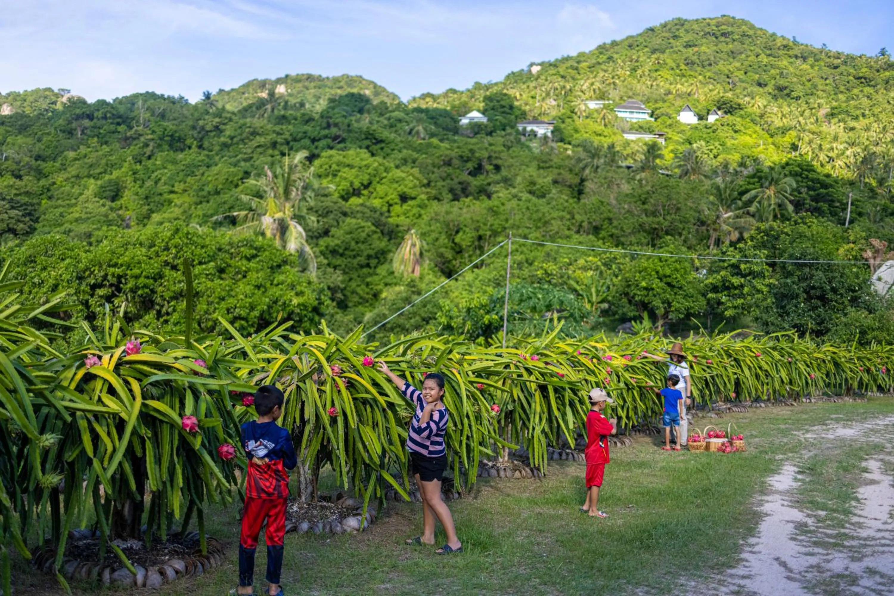 Activities in Ban's Diving Resort