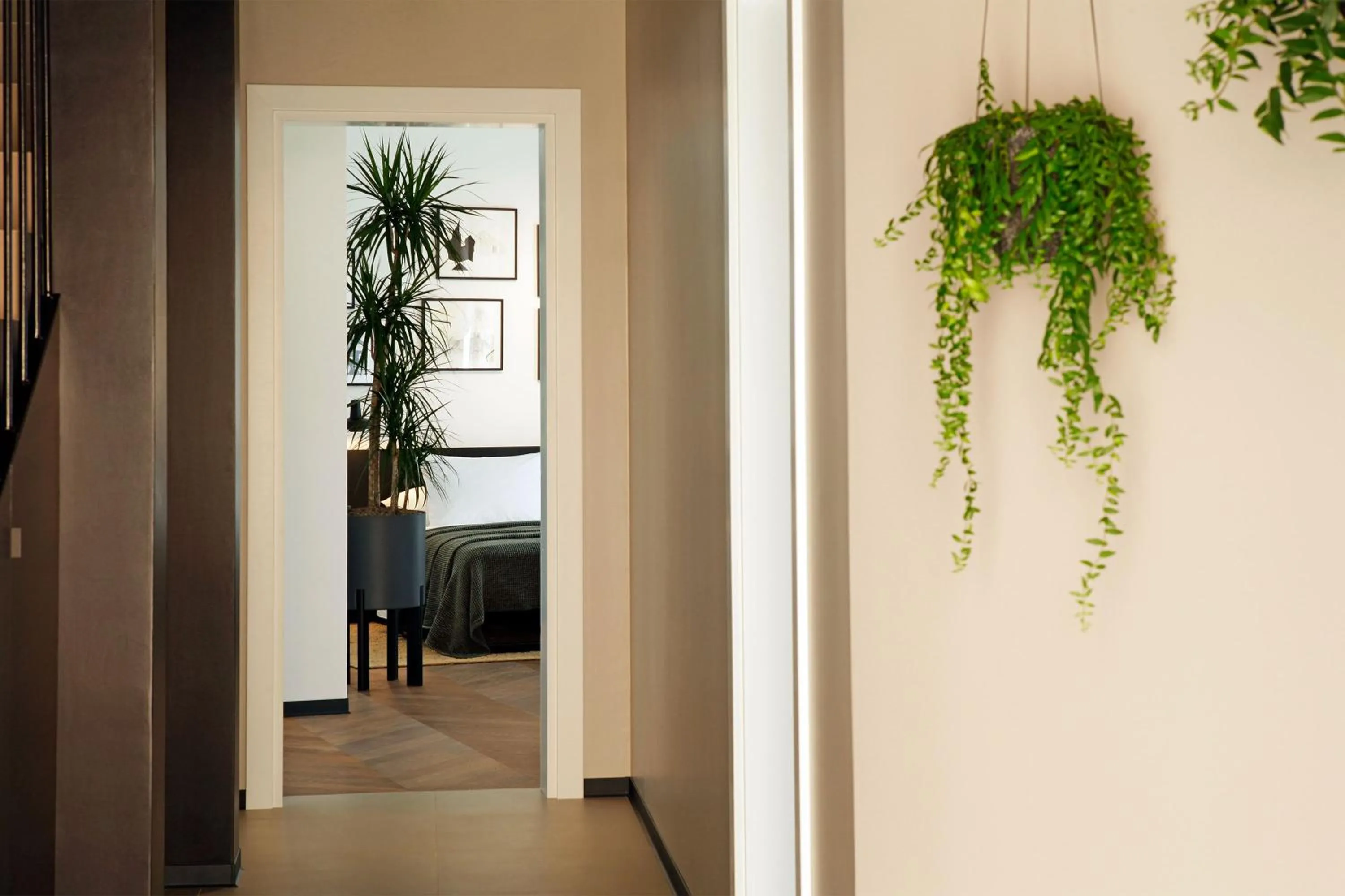 Area and facilities in Boutique rooms Kastel Ismaeli