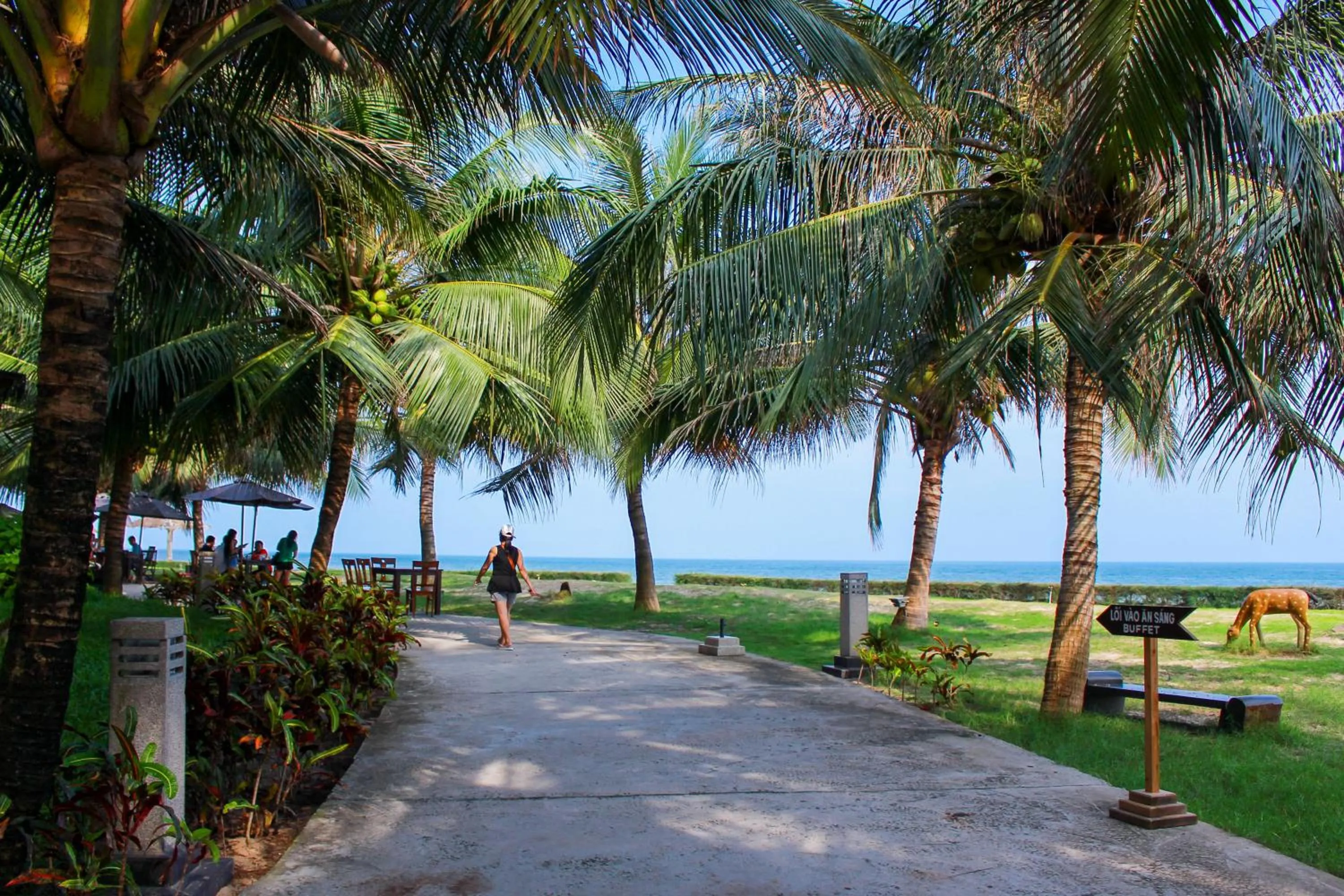 Natural landscape in Dat Lanh Beach Resort