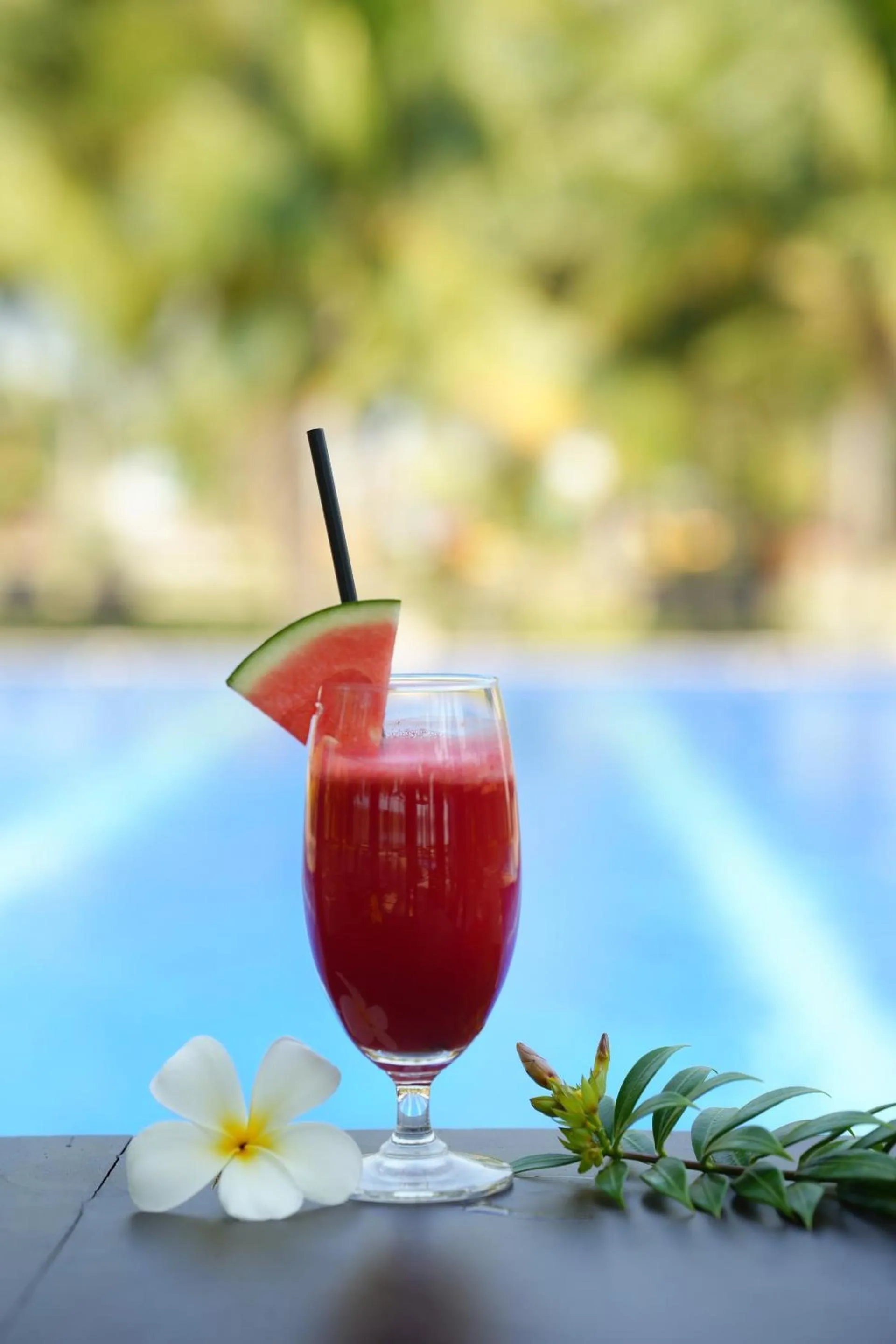 Dat Lanh Beach Resort